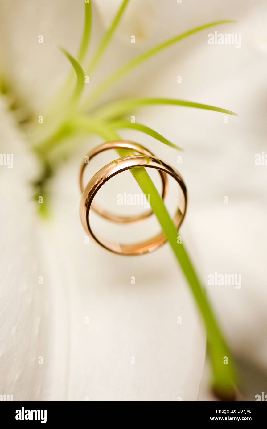 Zwei goldene Hochzeit Ringe auf Blüten Makroaufnahme Stockfoto