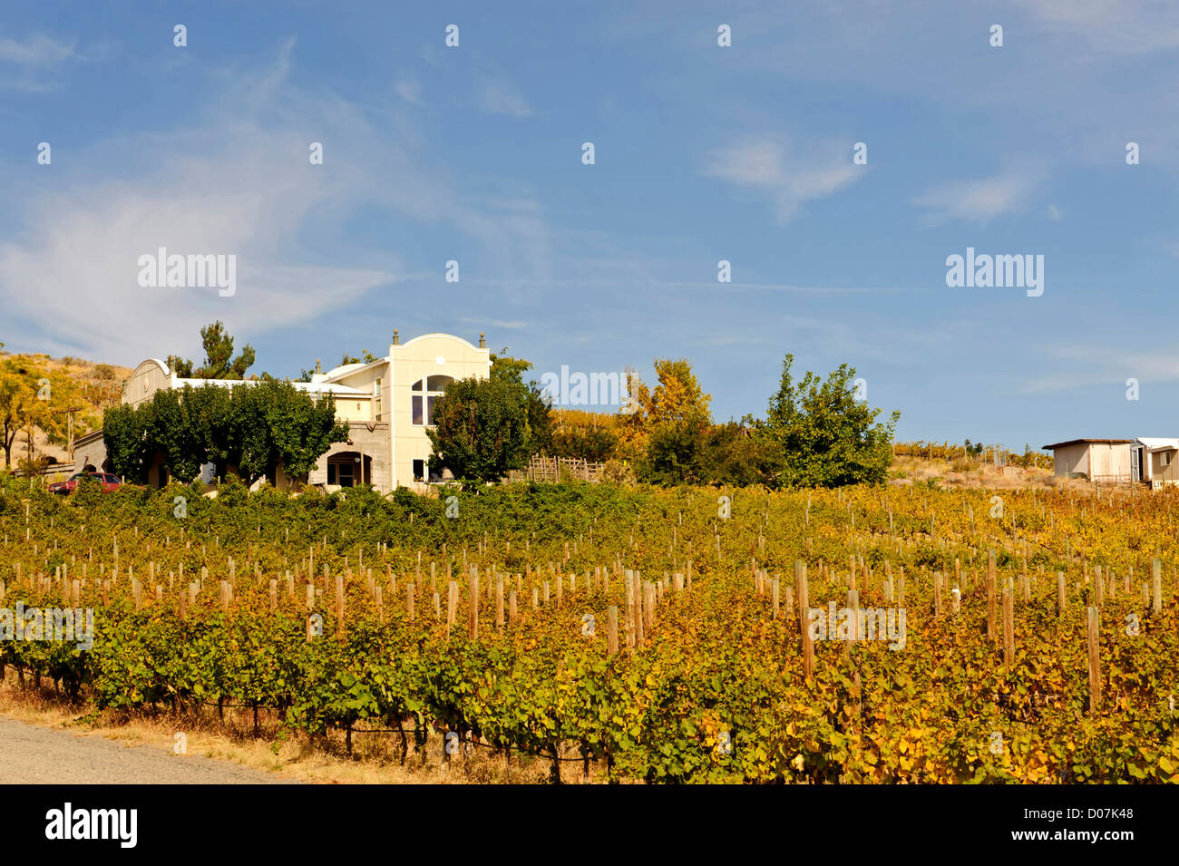 USA, Washington, Quincy, Ancient Lakes AVA. Weiße Reiher Keller konzentriert sich auf Rotweine aus Bordeaux-Sorten und Syrah. Stockfoto