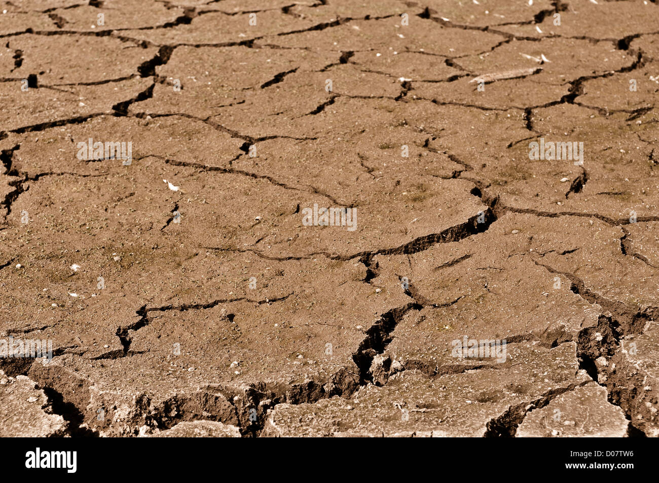 Geknackt Boden Close Up Stockfoto