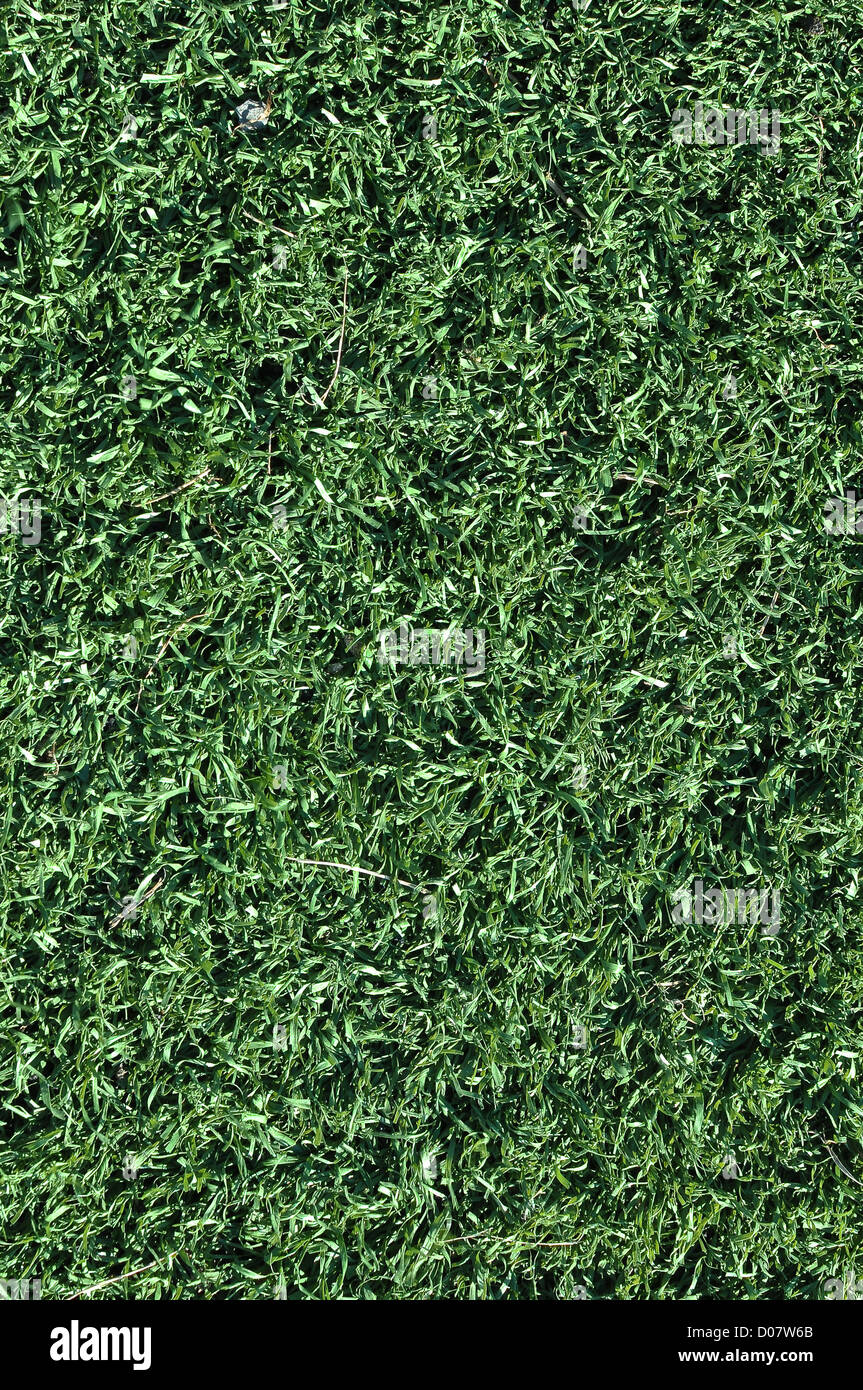 Gefälschte Grass verwendet auf Sportplätzen für Fußball, Baseball und Fußball Stockfoto