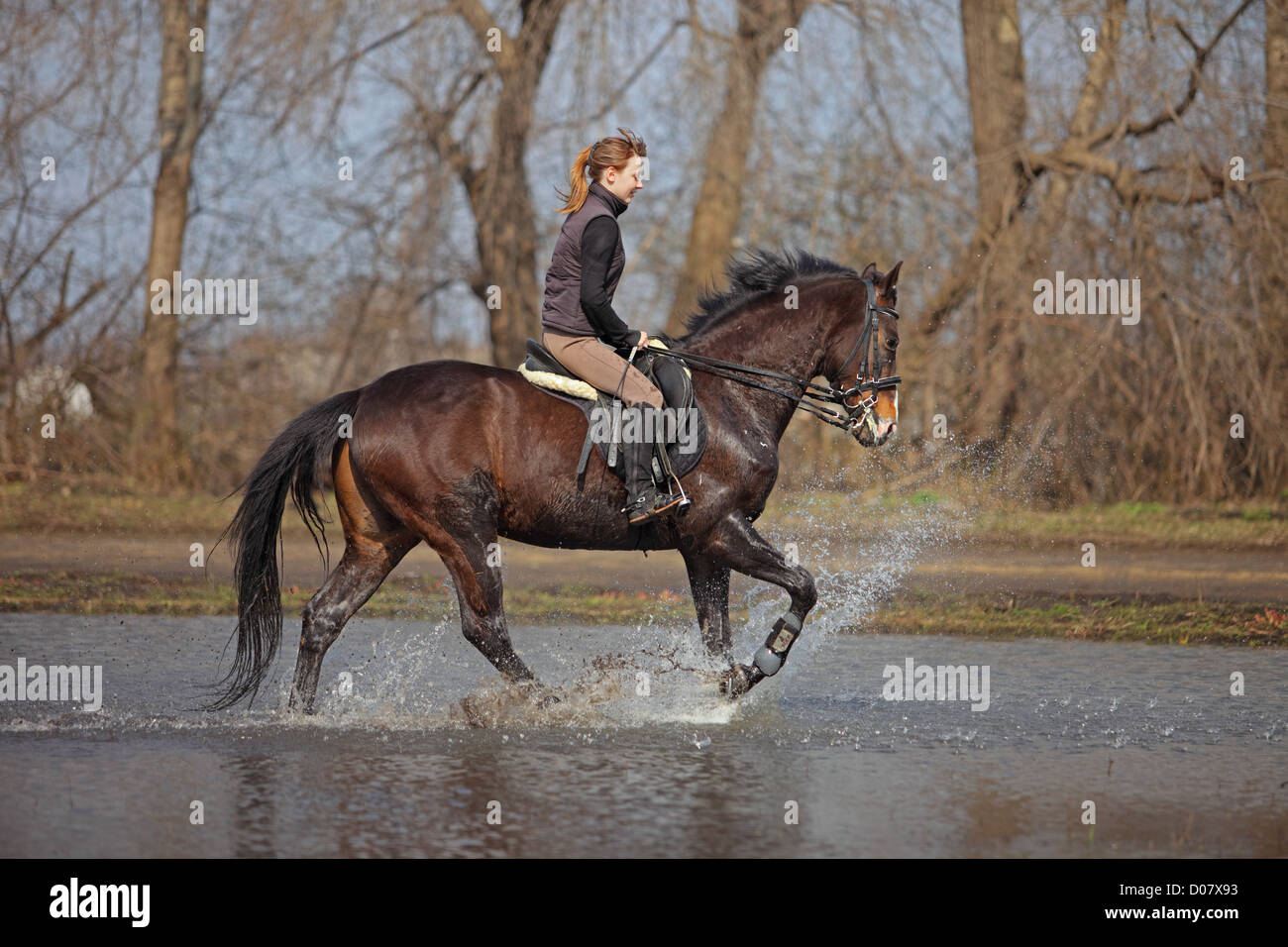 Mädchen reiten auf dem Pferd durchs Wasser, Frühling Stockfoto