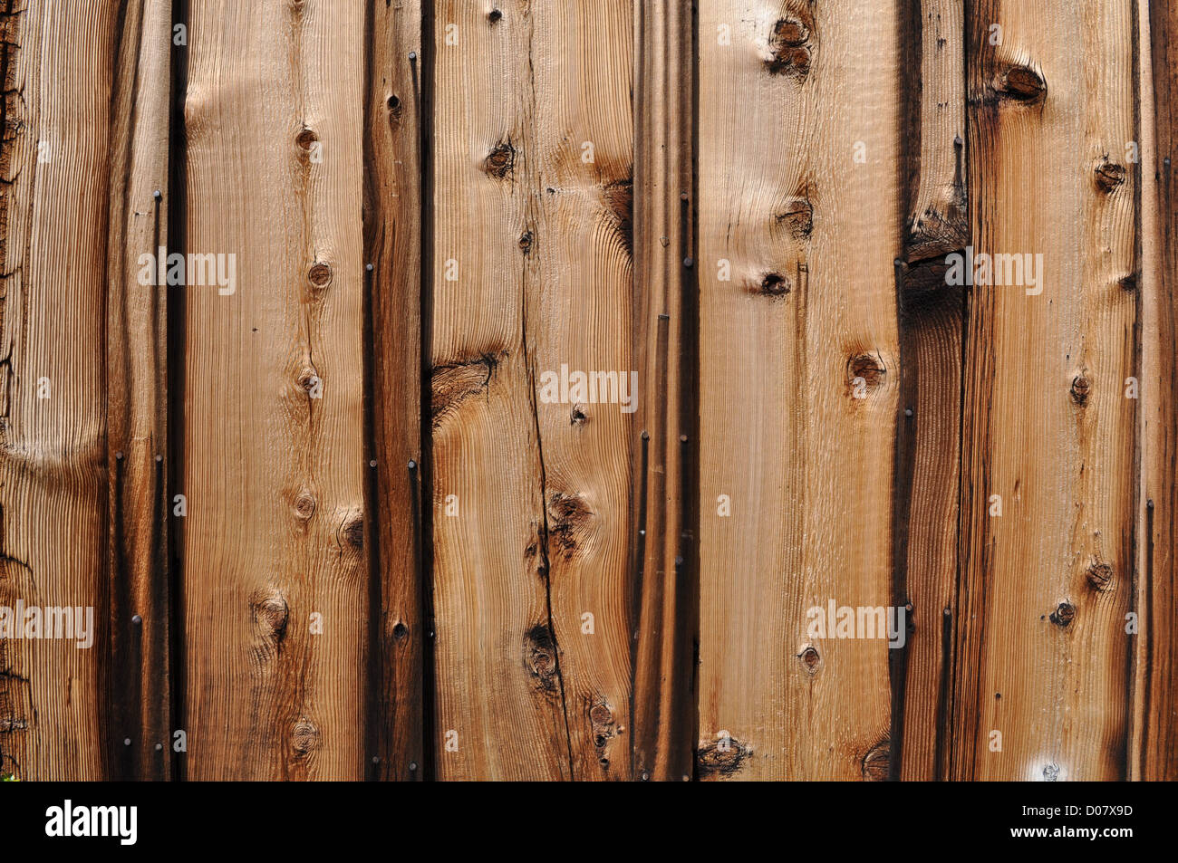 Alten westlichen knorrigen Kiefern-Holz-Hintergrund Stockfoto