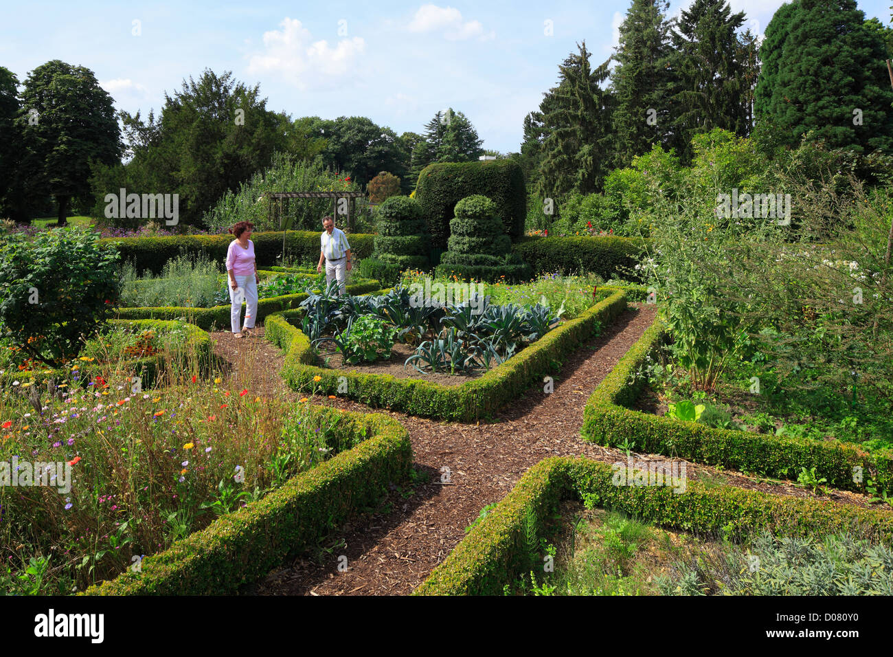 Niederrheinischer Bauerngarten Im Botanischen Garten von Krefeld-Oppumer, Niederrhein, Nordrhein-Westfalen Stockfoto