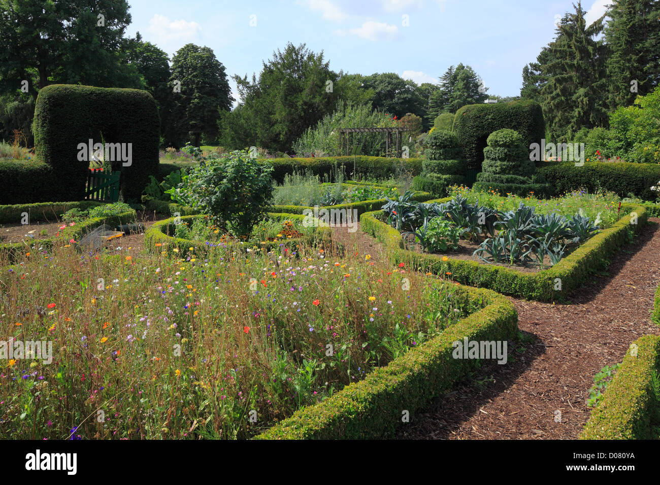 Niederrheinischer Bauerngarten Im Botanischen Garten von Krefeld-Oppumer, Niederrhein, Nordrhein-Westfalen Stockfoto