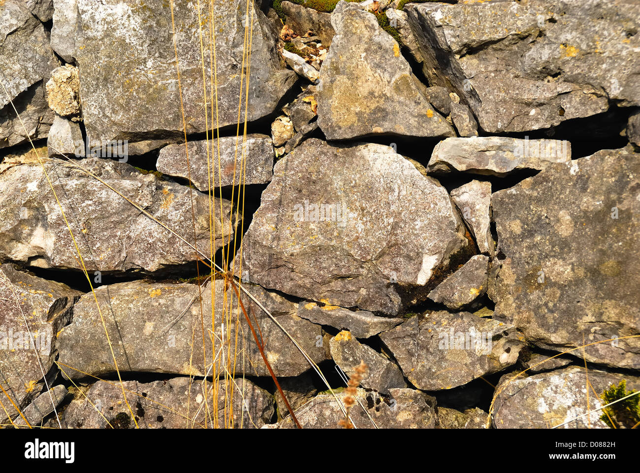 Monte Grappa, venezianischen Voralpen: ein trockenen Stein Wand in Lokalität "Val Delle Mure". Stockfoto