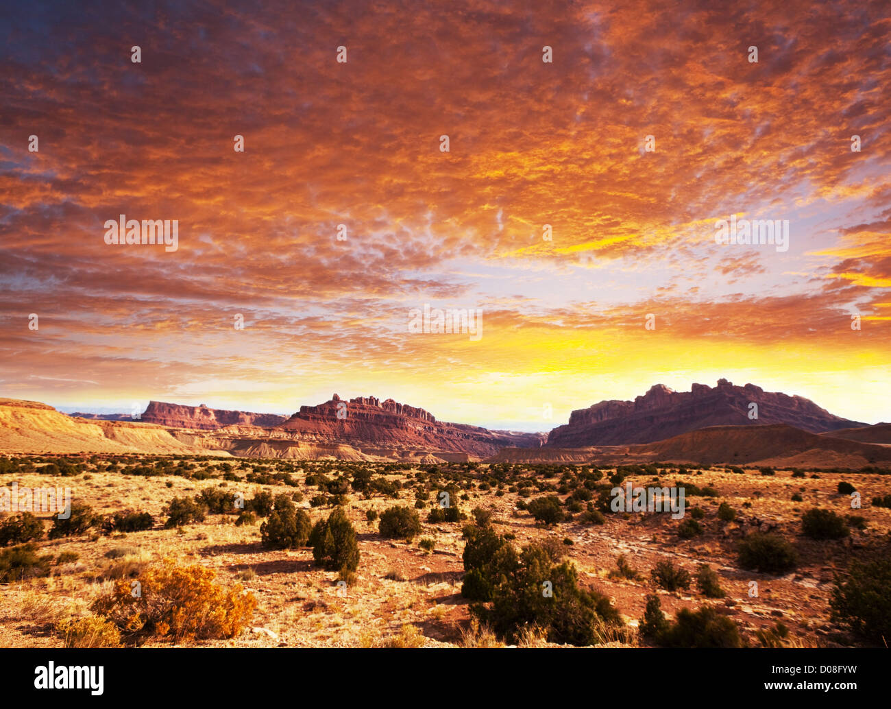 Amerikanischen Prärie-Landschaft Stockfoto