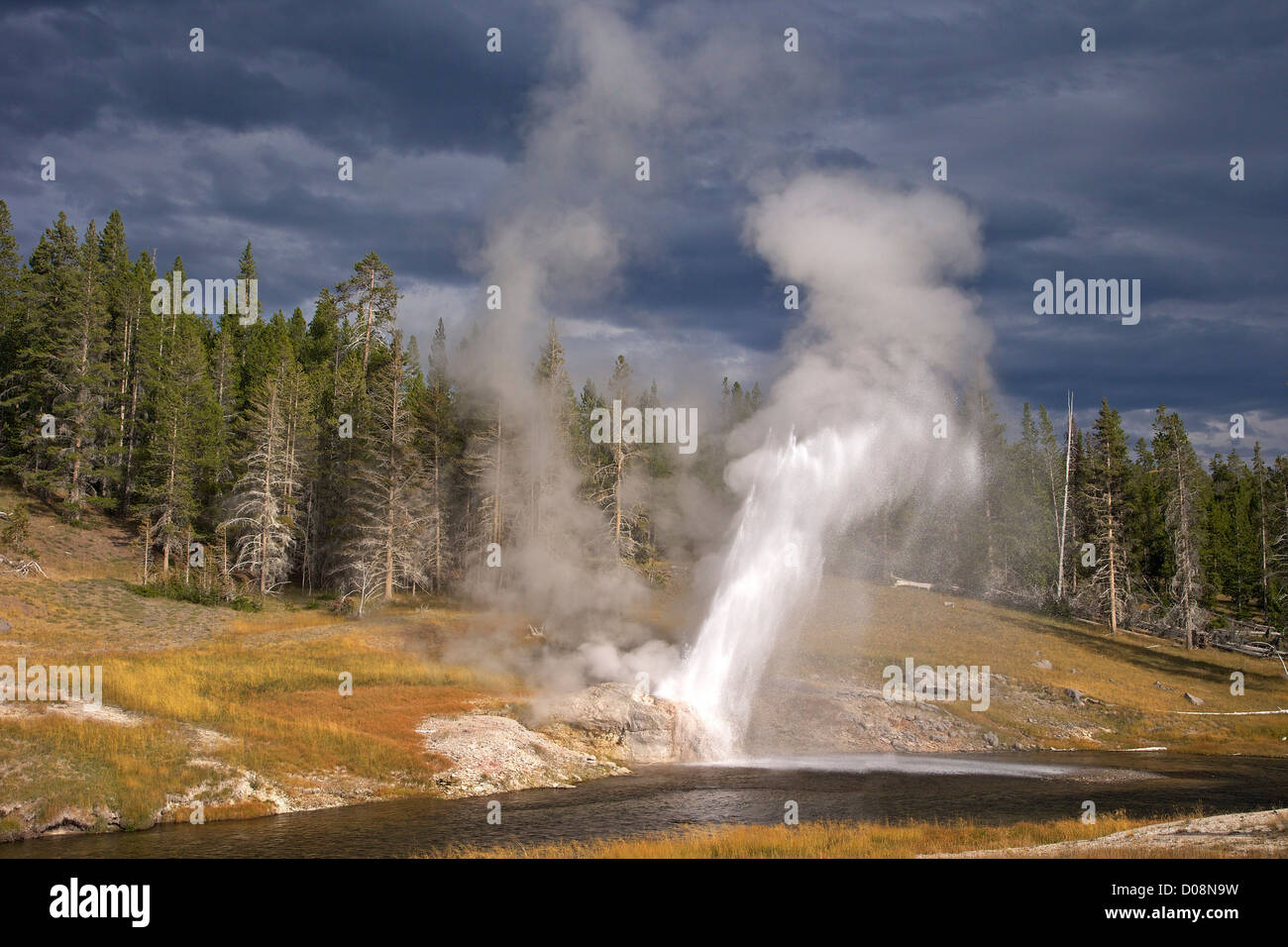 Riverside-Geysir, Upper Geyser Basin, Yellowstone-Nationalpark, Wyoming, USA Stockfoto