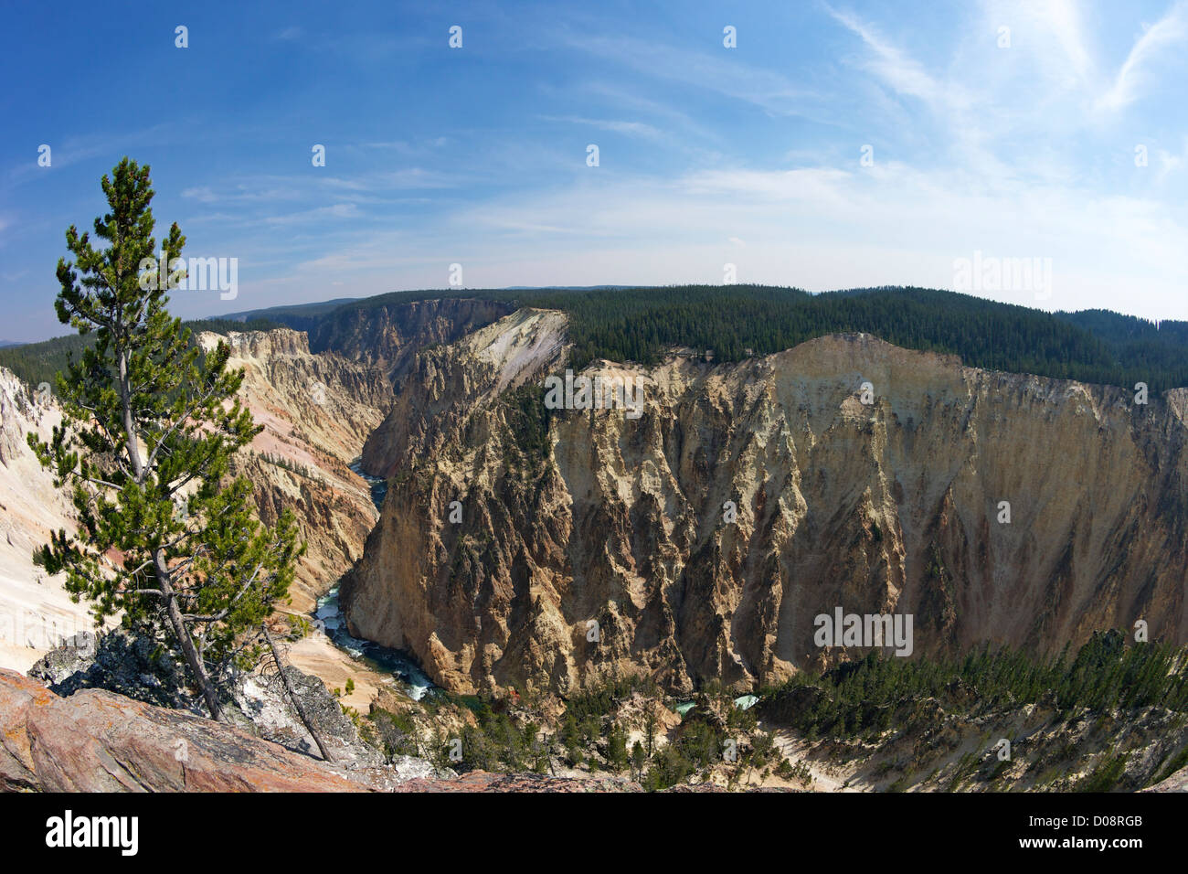 Grand Canyon des Yellowstone River, von Grand View, Yellowstone-Nationalpark, Wyoming, USA Stockfoto