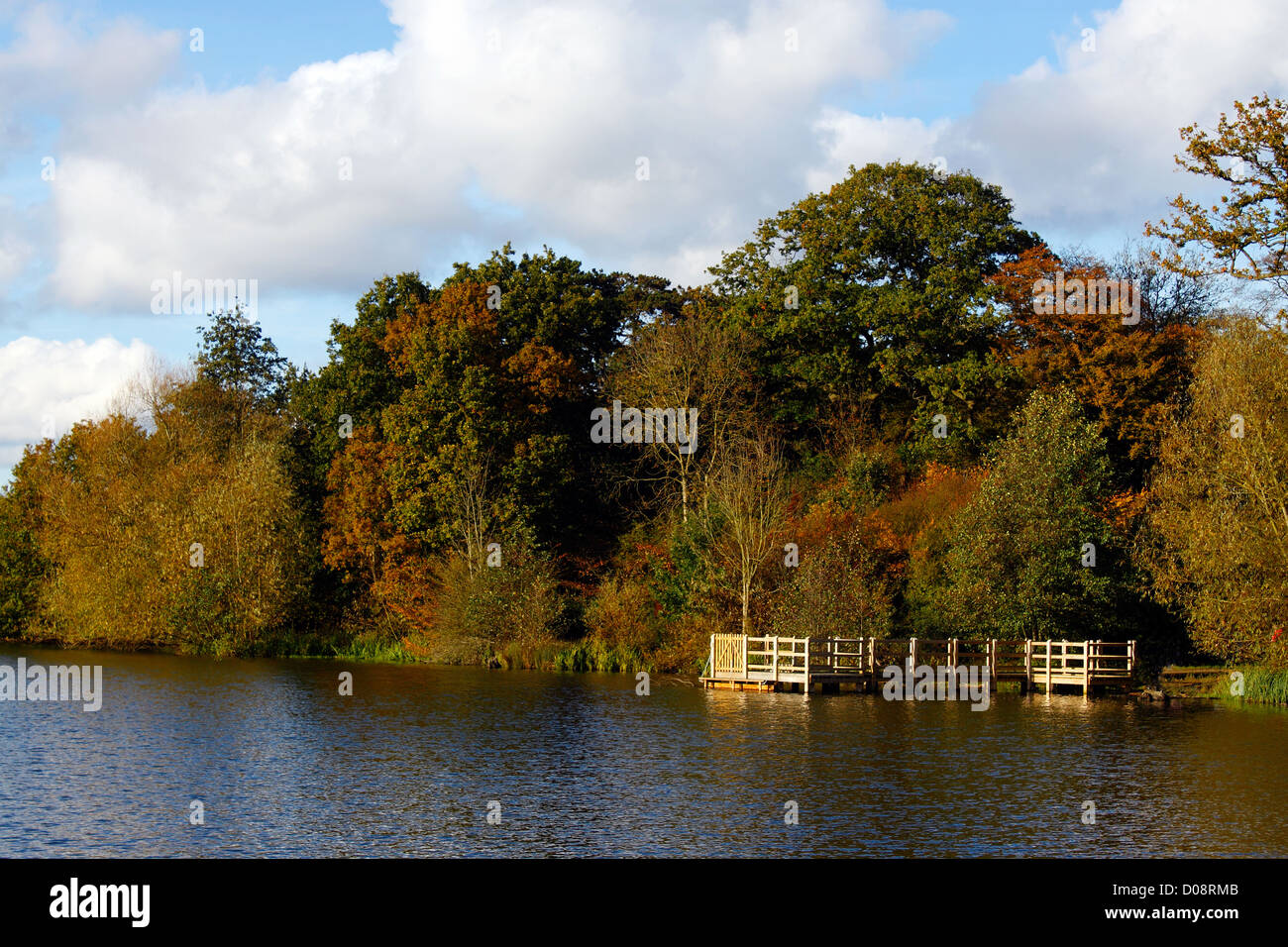 HERBSTLICHEN SEE HATFIELD FOREST ESSEX. Stockfoto