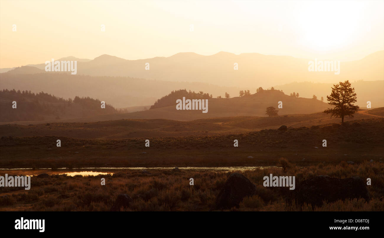 Sonnenaufgang über das Lamar Valley, Yellowstone-Nationalpark, Wyoming, USA Stockfoto