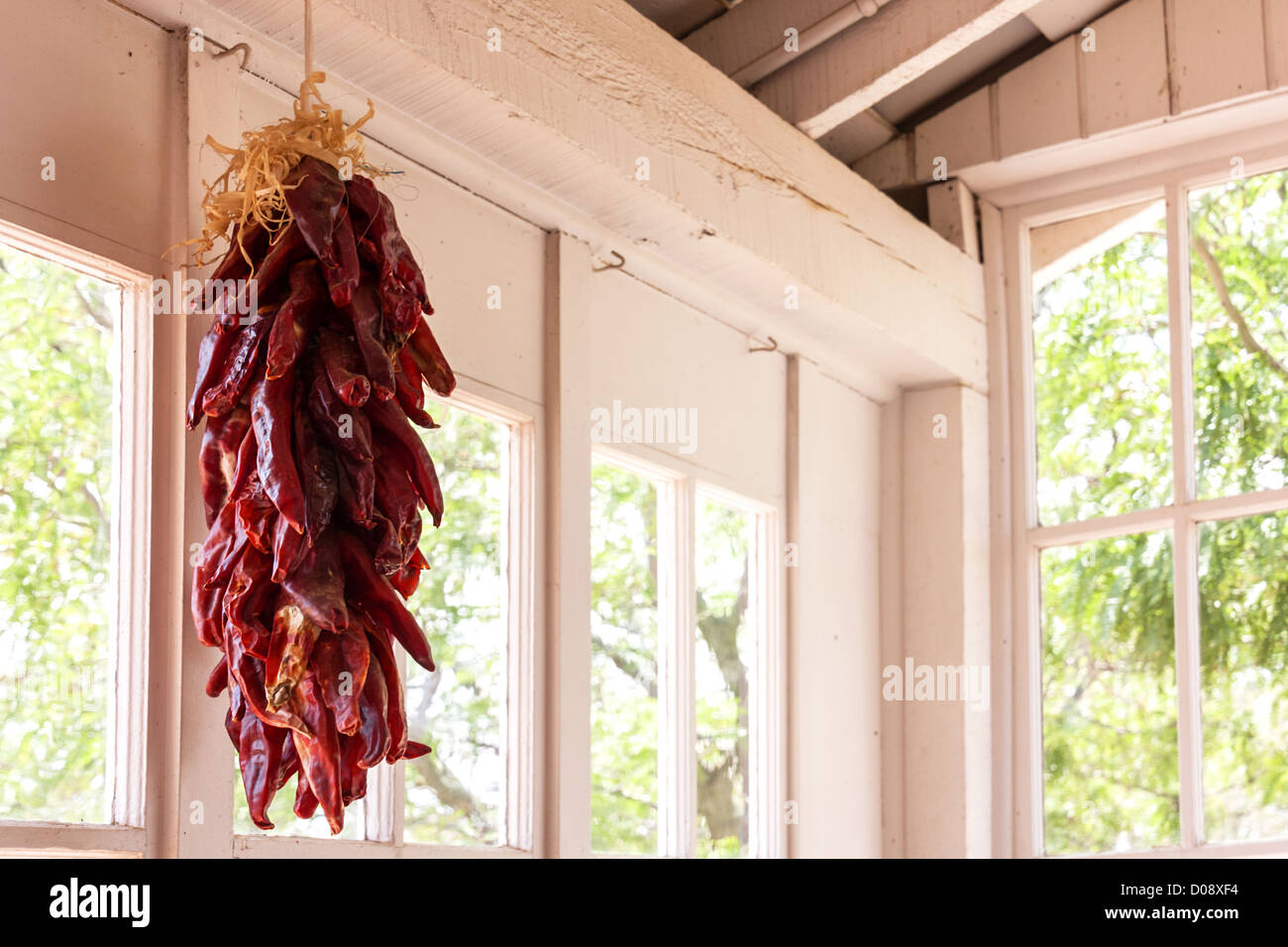 Eine Handvoll getrocknete rote Chile ist vor einem Fenster hängen. Stockfoto