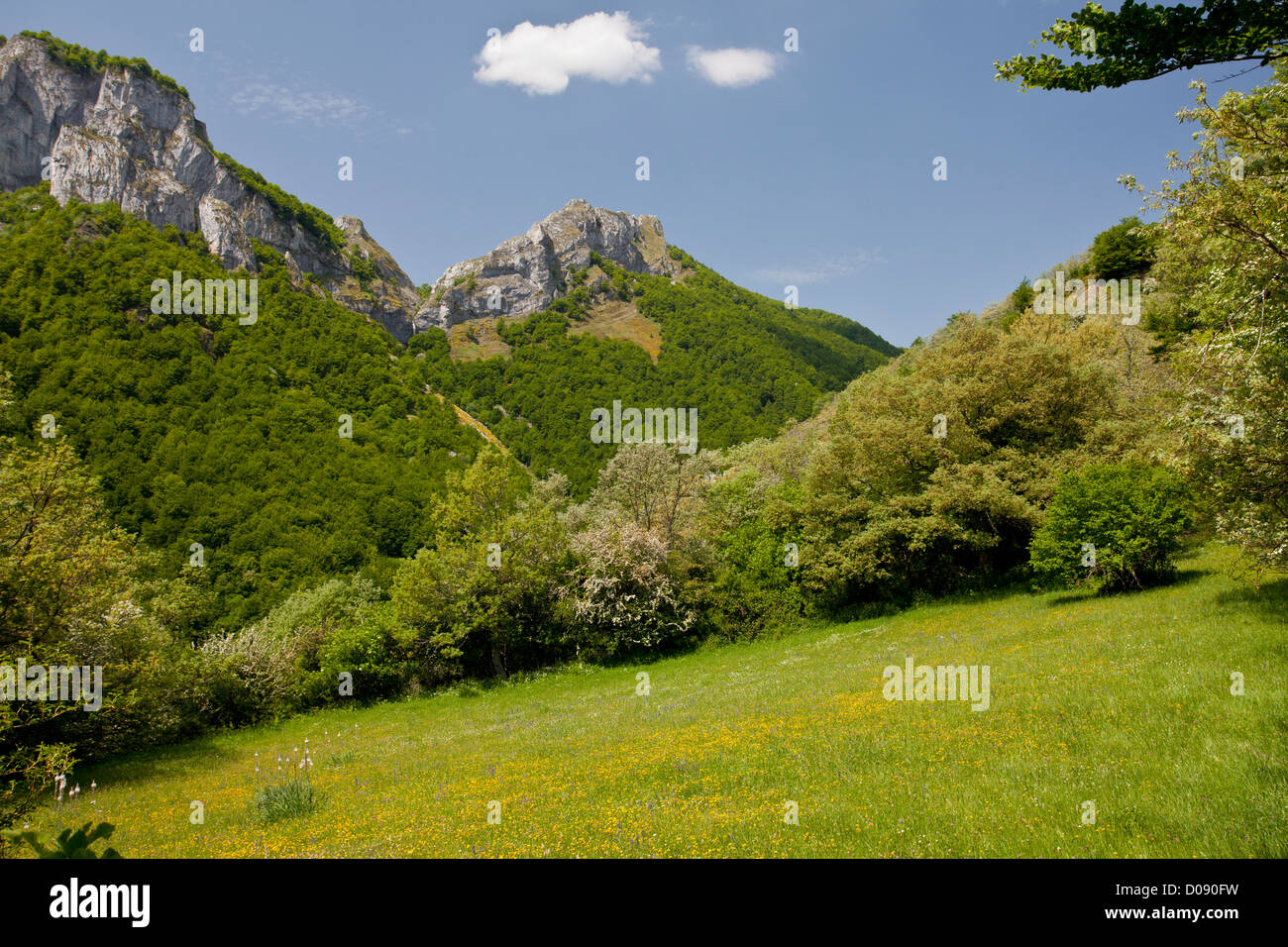 Blühenden Almen in Fuente De in Kalkberge der Picos de Europa, Spanien, Europa Stockfoto