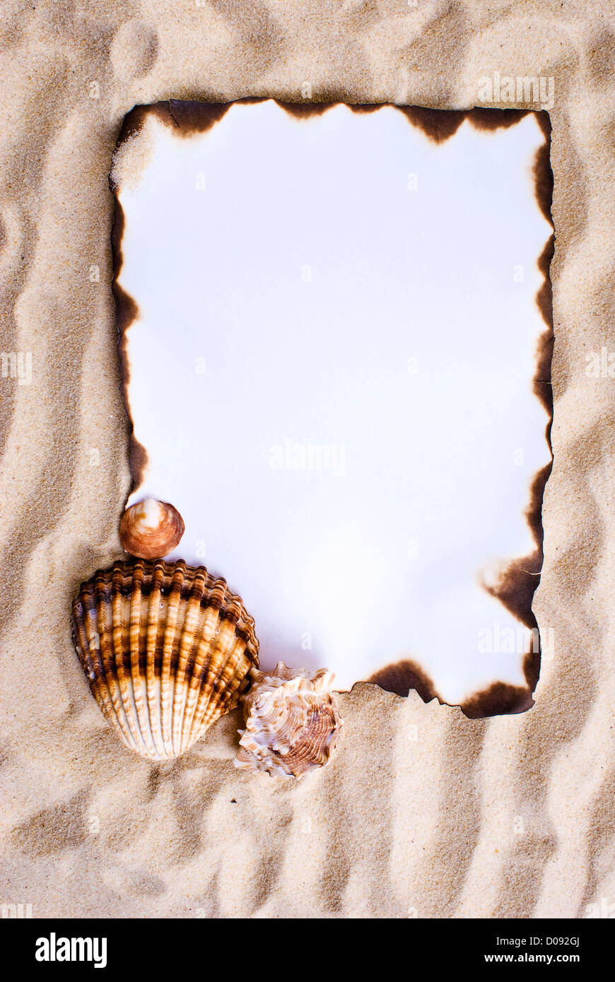 Verbranntes Papier auf dem Sand mit Muscheln Stockfoto