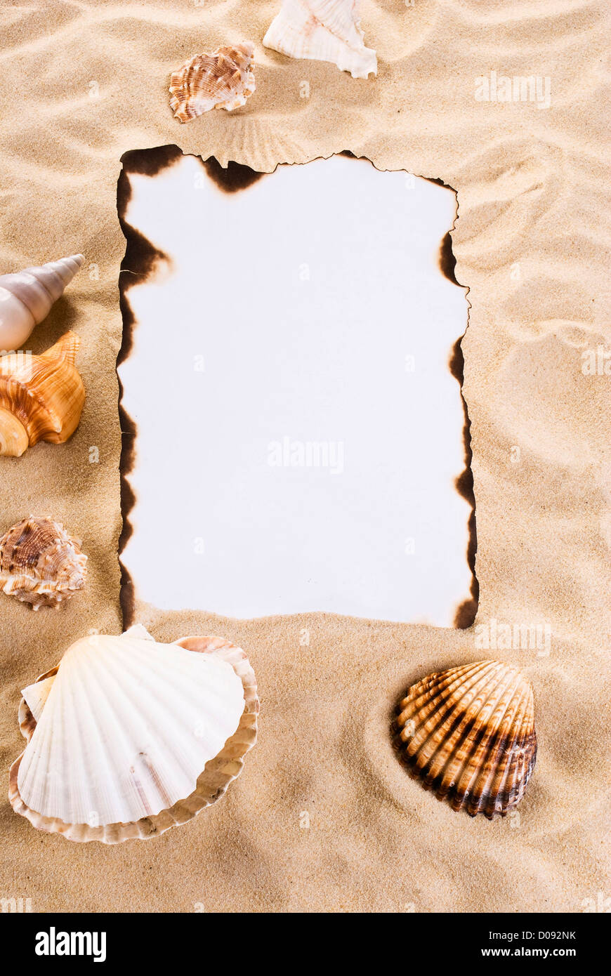 Verbranntes Papier auf dem Sand mit Muscheln Stockfoto
