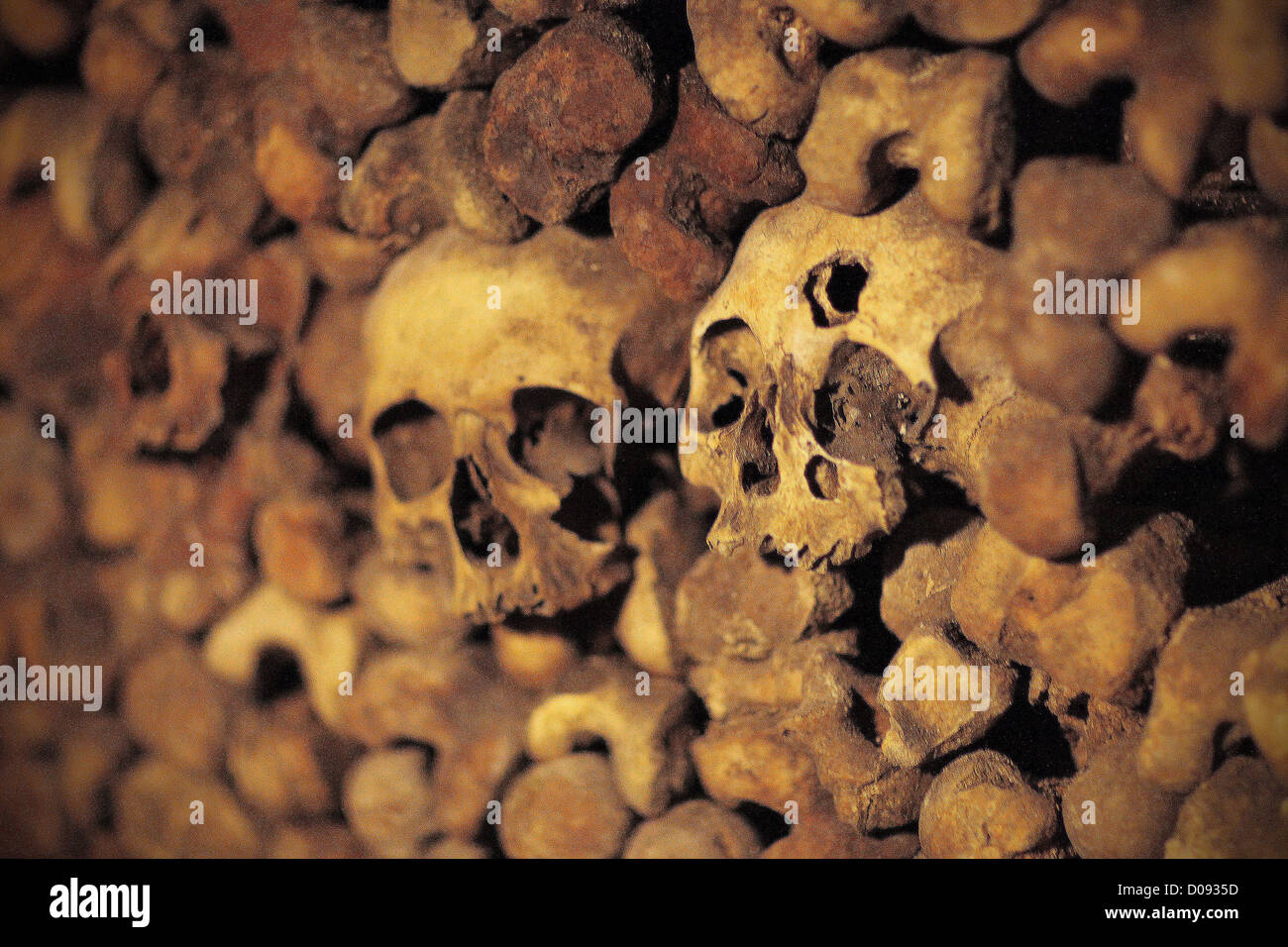 SCHÄDEL UND KNOCHEN IN DEN KATAKOMBEN VON PARIS 14. ARRONDISSEMENT PARIS (75) Stockfoto