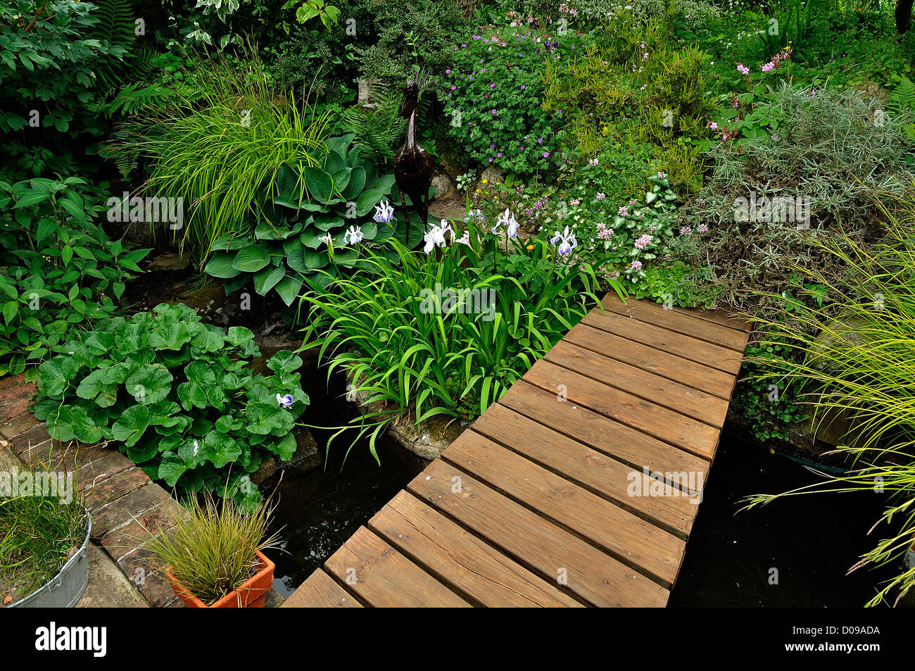 Freude, Garten, ein Becken mit Wasserpflanzen, Hosta, Iris und Dekoration mit einem Vogel aus Metall und kleine Brücke. Stockfoto