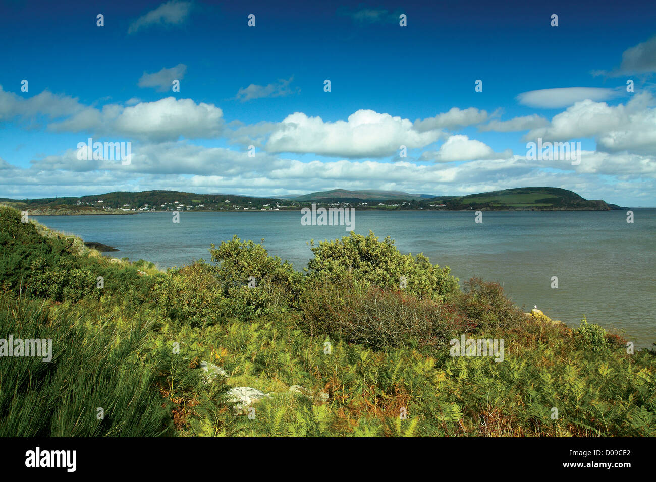 Castle Point und Rockcliffe von White Port Stockfoto