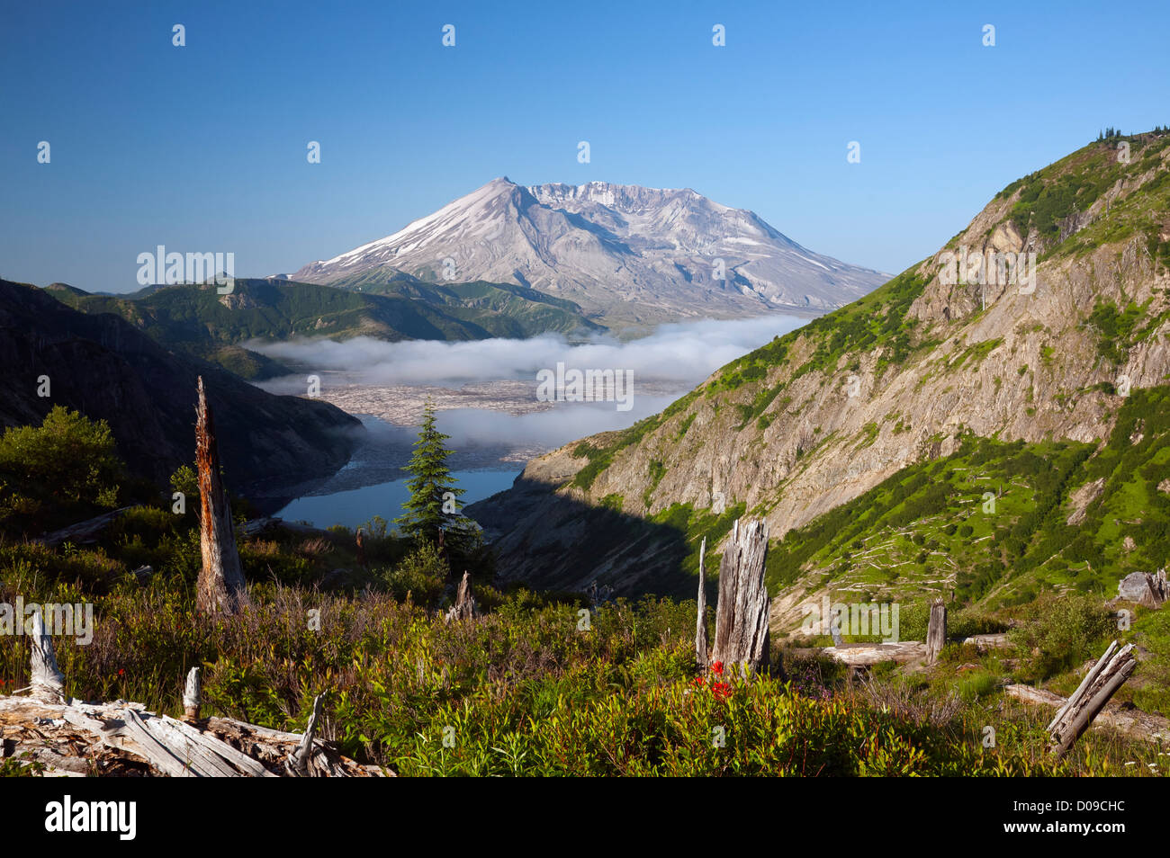 WA06890-00... WASHINGTON - Mount St. Helens und Spirit Lake aus Norwegen Pass in der Mount St. Helens National Volcanic Monument. Stockfoto