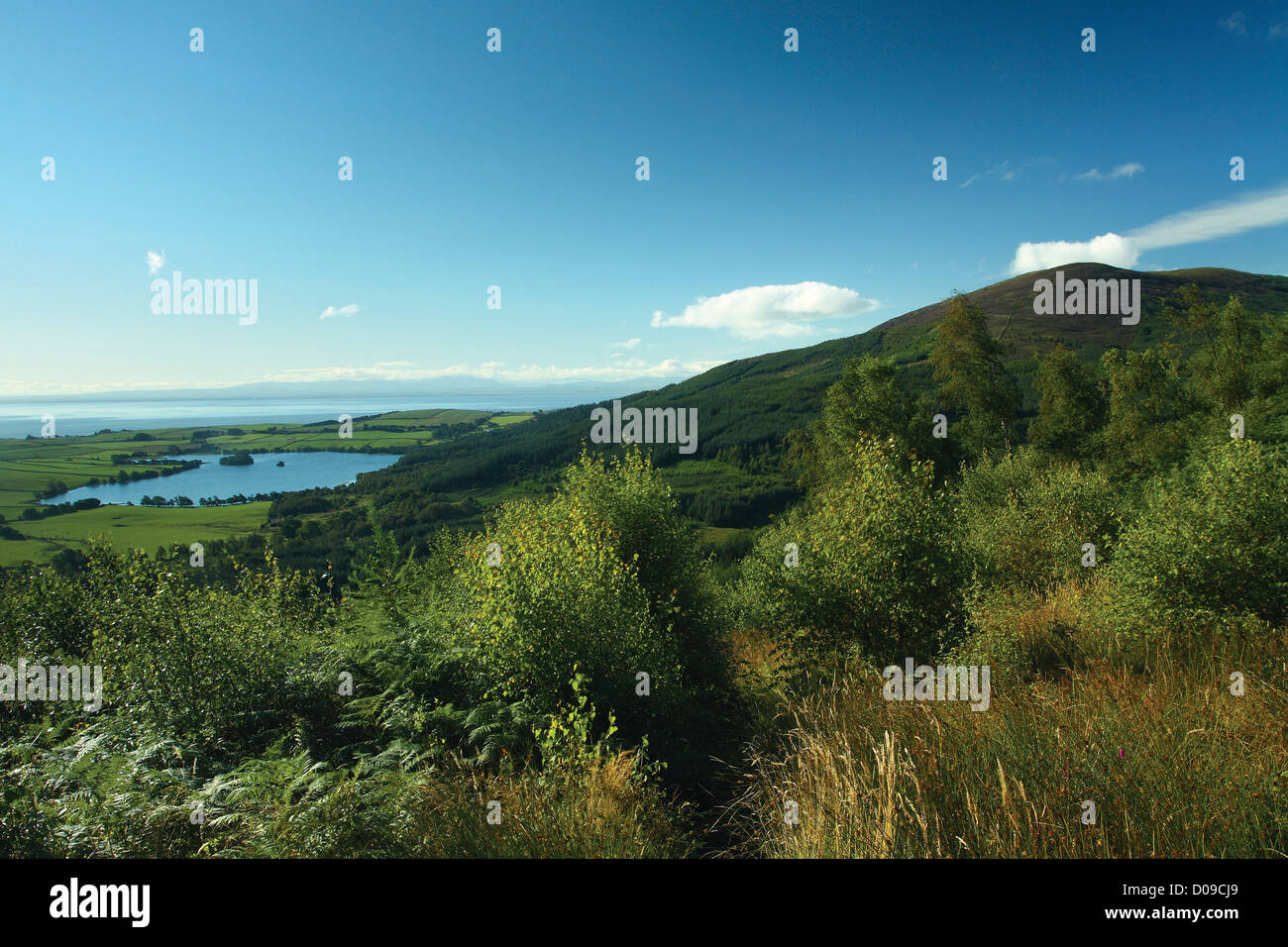 Criffel und Loch Kindar von der Waterloo-Denkmal über neue Abtei, Dumfries & Galloway Stockfoto