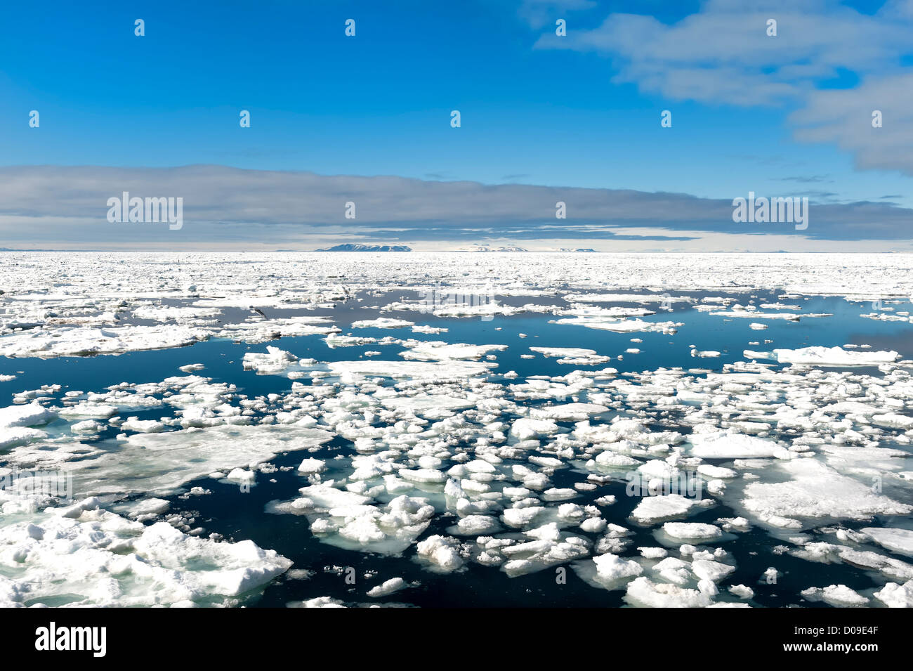 Packeis, Barentssee, Spitzbergen Ostküste, Spitzbergen, Norwegen Stockfoto