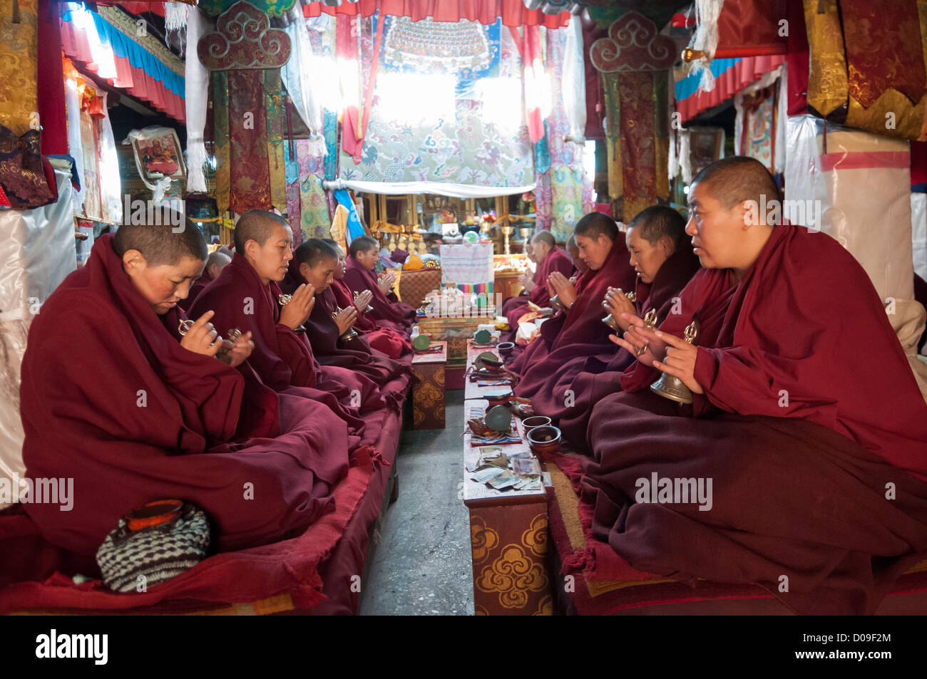 Buddhistische Nonnen läuten beim Singen im täglichen Gebete, Anezamkang Kloster, Lhasa, Tibet, China Stockfoto