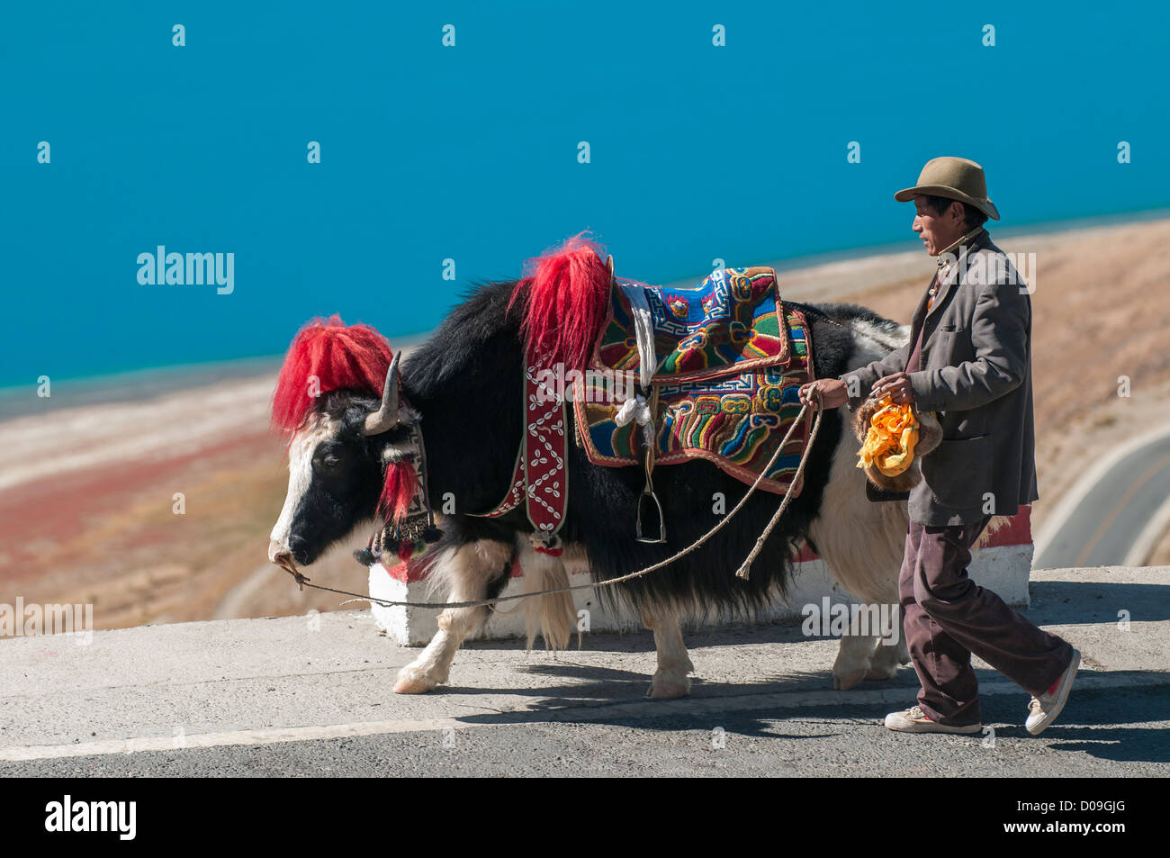 Dekorierte Yak und Besitzer warten Kamera tragen Touristen entlang Yamdrok Lake, Tibet, China Stockfoto