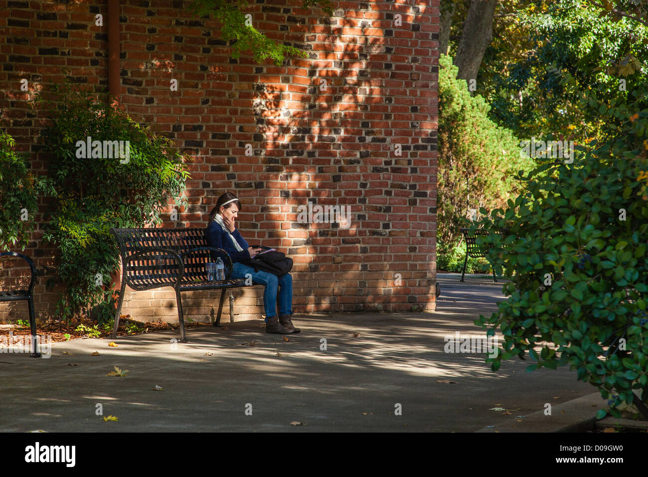 Eine weibliche Studentin entspannt, sitzt auf einem Metall Parkbank auf dem Campus der California State University Chico und SMS Stockfoto