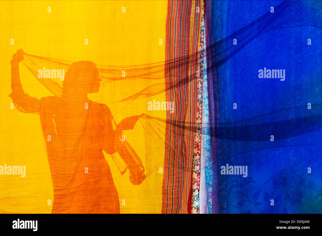 Indische Mädchen mit Schleier Silhouette. Bunte montage Stockfoto