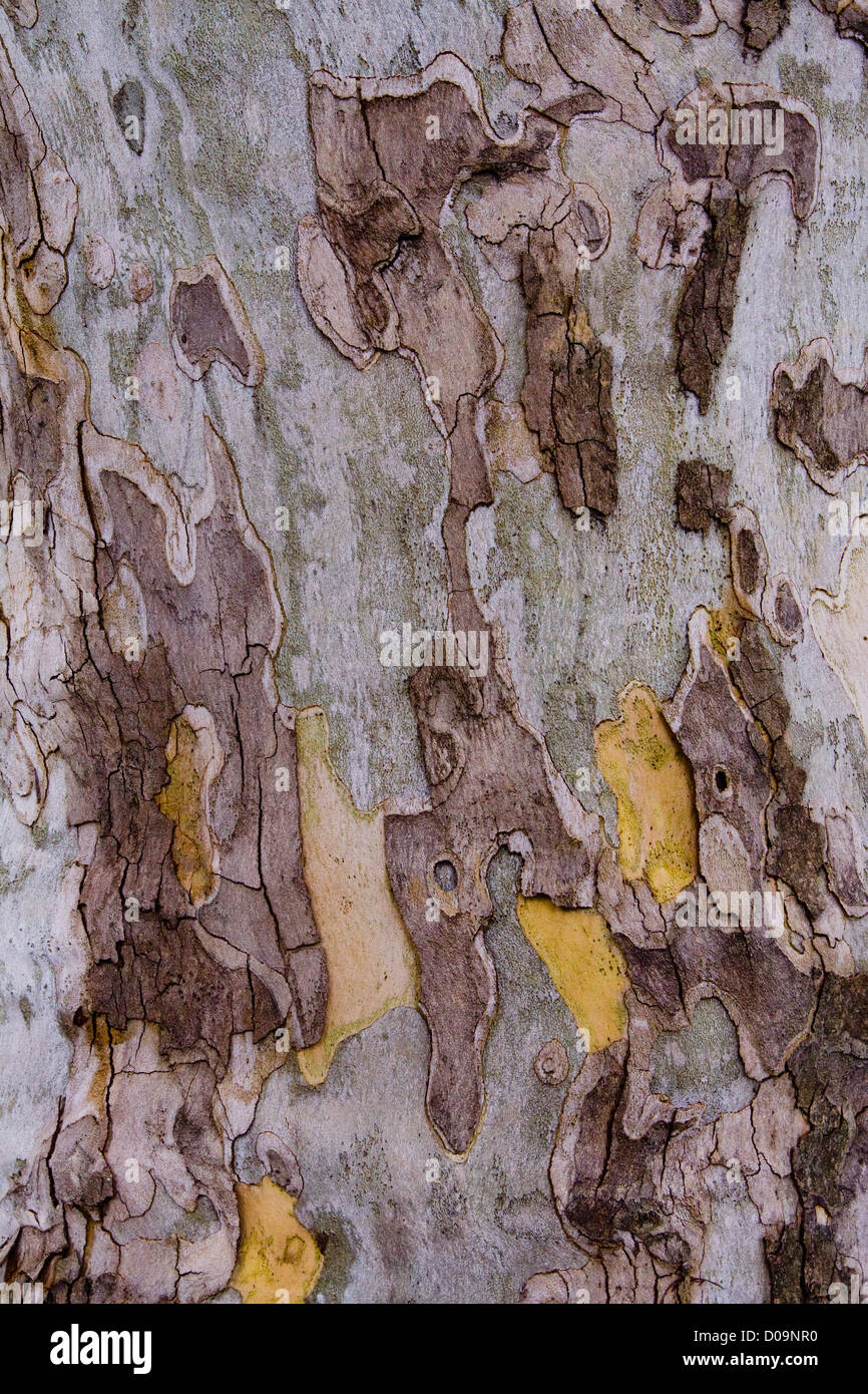 Texturen aus Milano Stockfoto