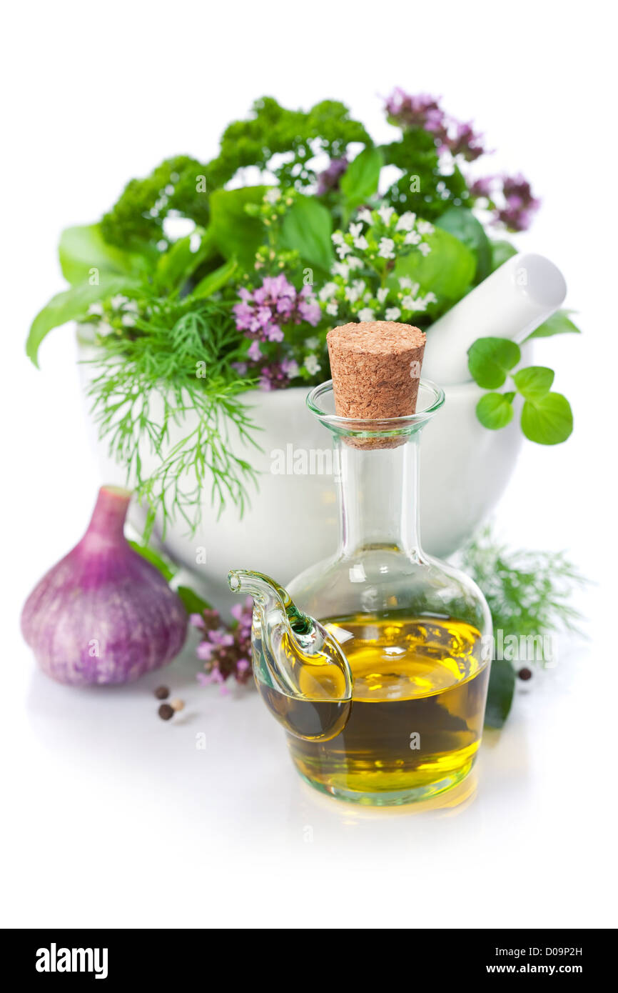 Heilkräuter in weiß mit Exemplar Stockfoto