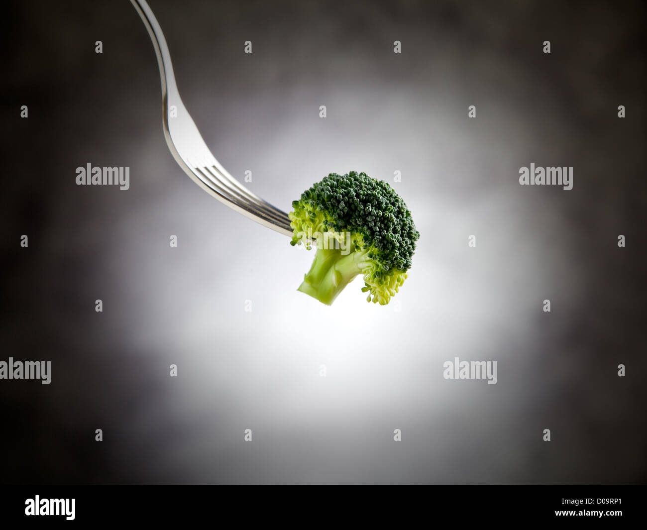 Brokkoli vor beleuchteten Hintergrund von spot-Licht Stockfoto
