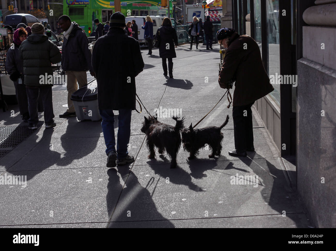 Zwei schottische Terrier sind in Midtown Manhattan, New York ging. Stockfoto