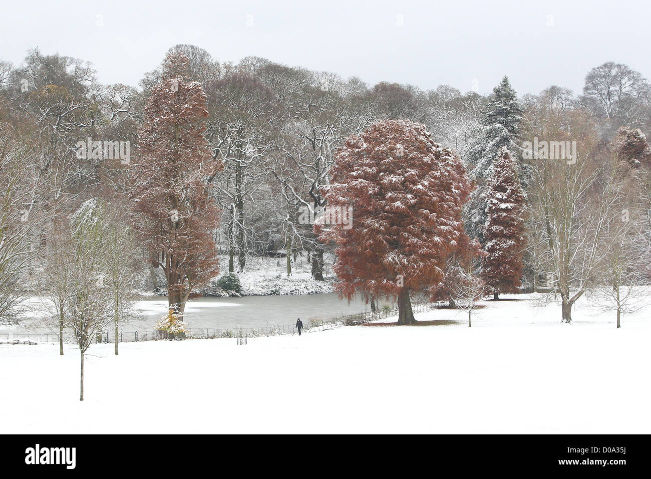 Aufnahmen im Schnee in Hampstead, North London. 1993 war das letzte Mal Großbritannien weit verbreitete Schnee im November sah. London, England- Stockfoto