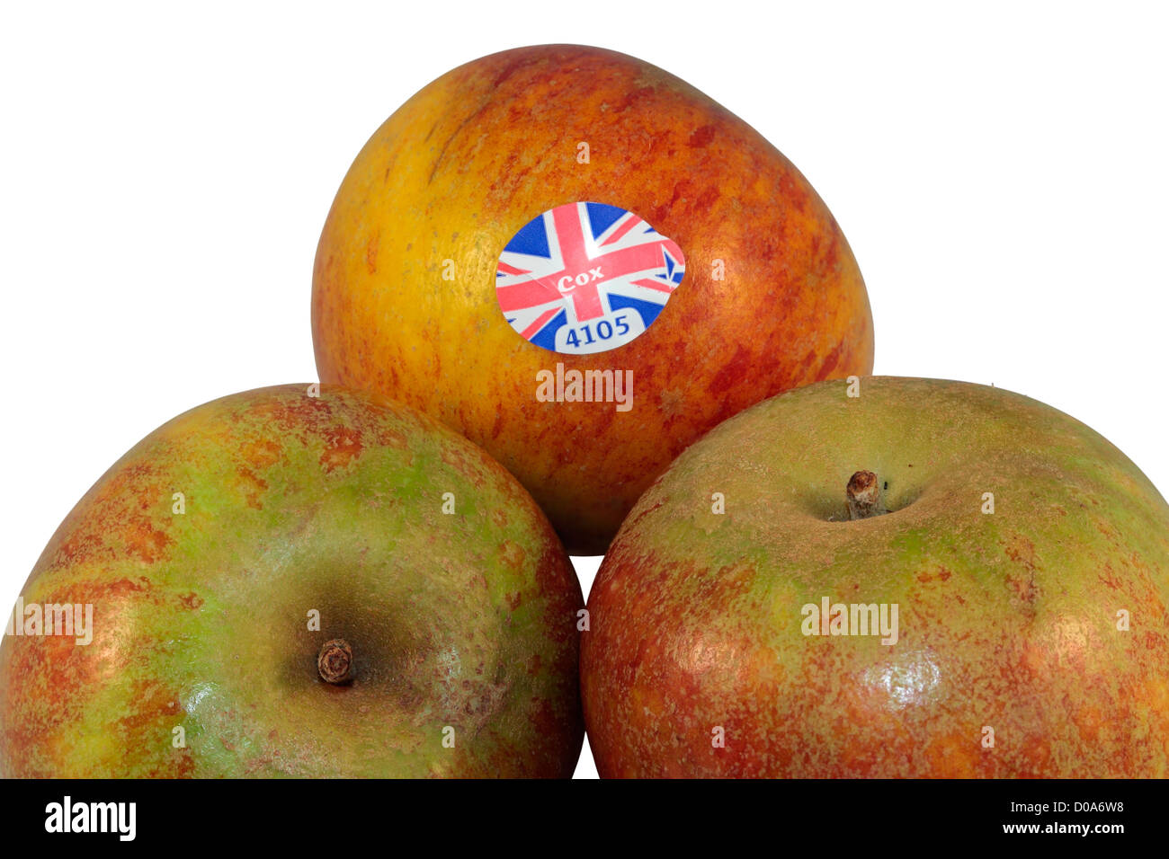 Drei Cox Äpfel isoliert auf weißem Hintergrund. Stockfoto