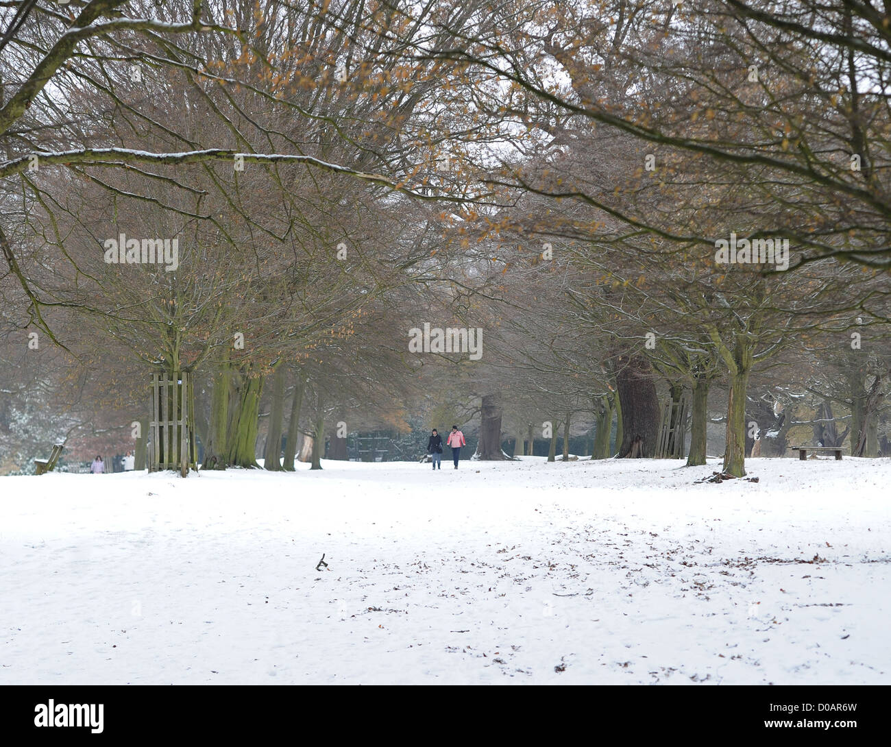 Menschen genießen die Winterlandschaft bei einem Spaziergang durch Richmond Park Schneelandschaften im Richmond Park. Surrey, England - 03.12.10 Stockfoto
