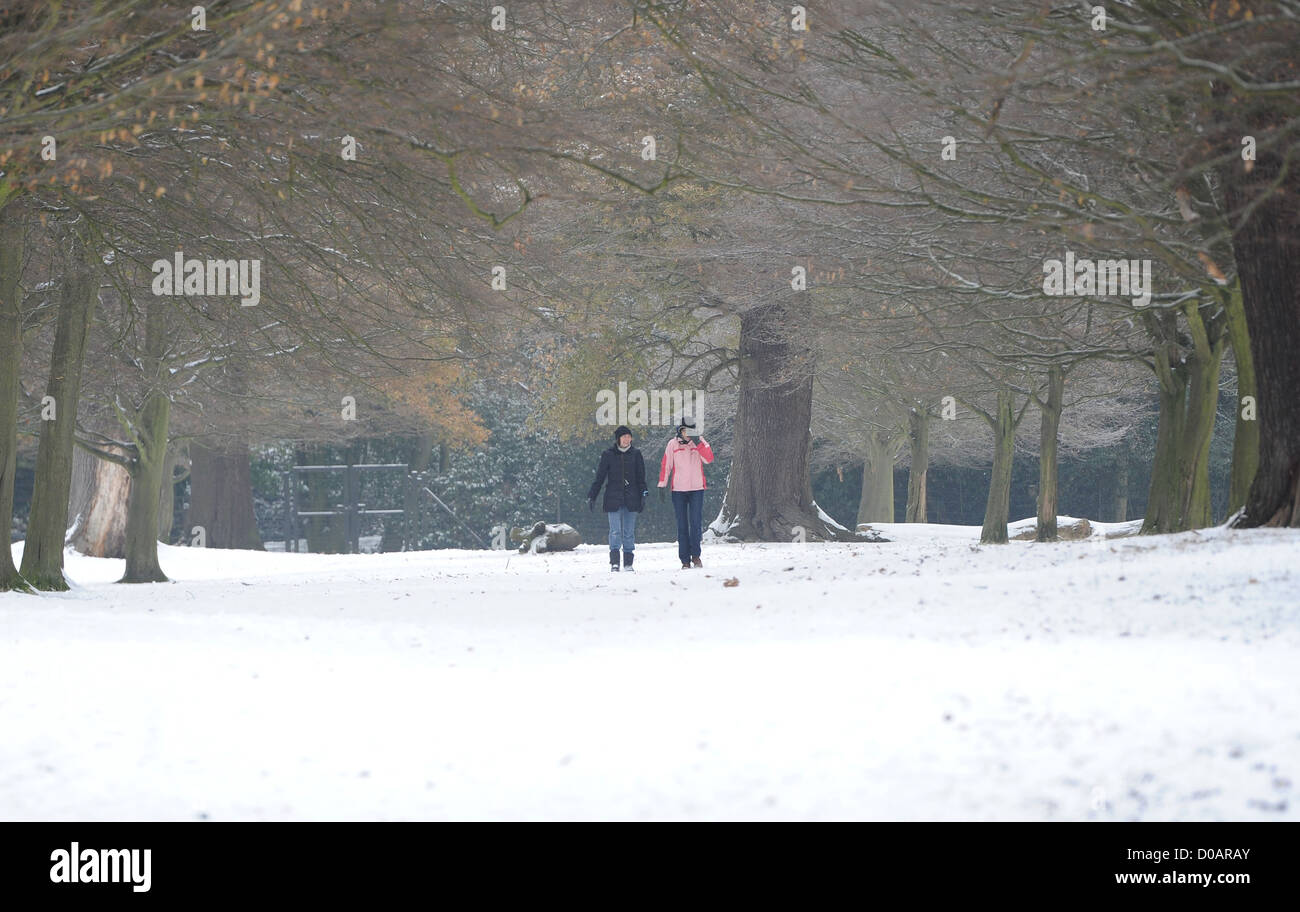 Menschen genießen die Winterlandschaft bei einem Spaziergang durch Richmond Park Schneelandschaften im Richmond Park. Surrey, England - 03.12.10 Stockfoto