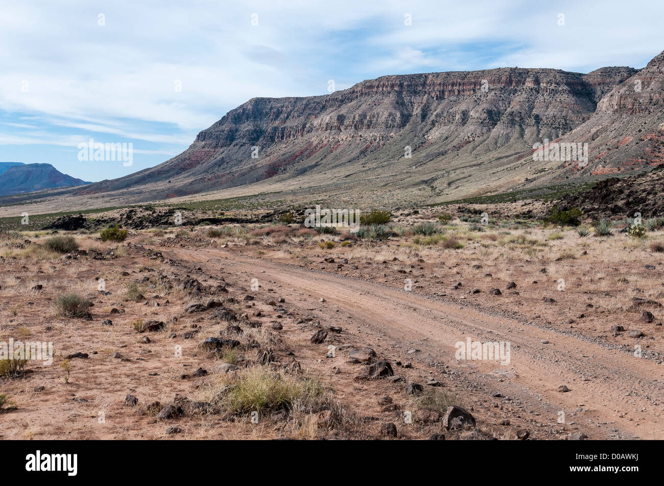 Whitmore Canyon Road, Grand Canyon-Parashant National Monument, Arizona Strip, Arizona. Stockfoto