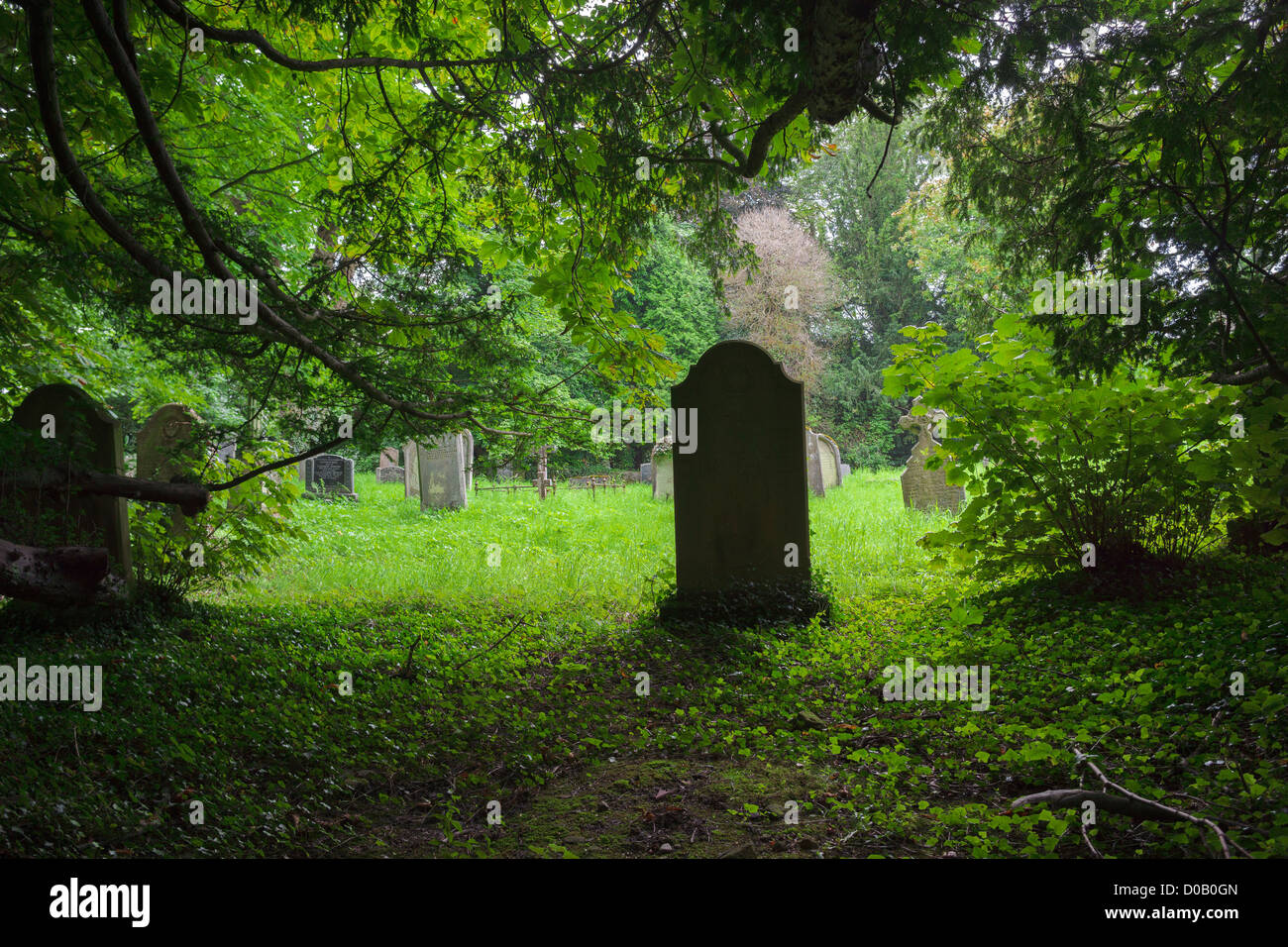 Grabsteine am Rande des Waldes in Howick Gardens in Northumberland. Stockfoto