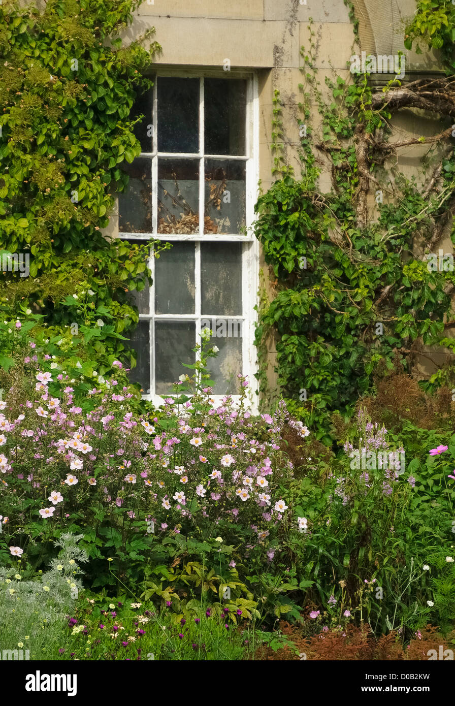 Eine alte Fenster des Hauses Howick Hall and Gardens in Northumberland. Das Haus des Earl Grey. Stockfoto