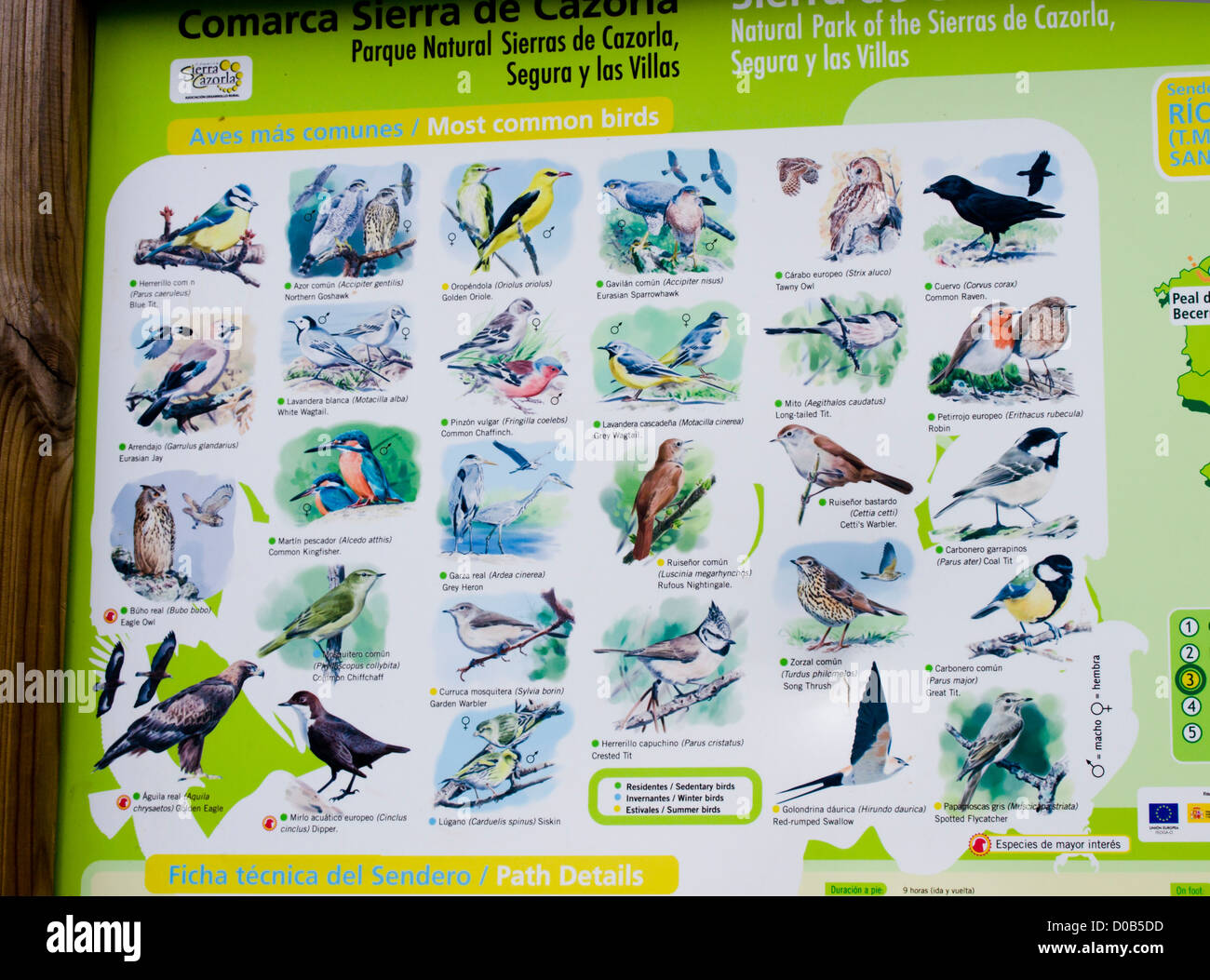 Vogelnamen -Fotos und -Bildmaterial in hoher Auflösung – Alamy