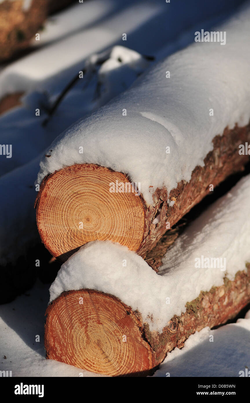 PROTOKOLLE MIT BEDECKT SCHNEE SOMME (80) FRANKREICH Stockfoto