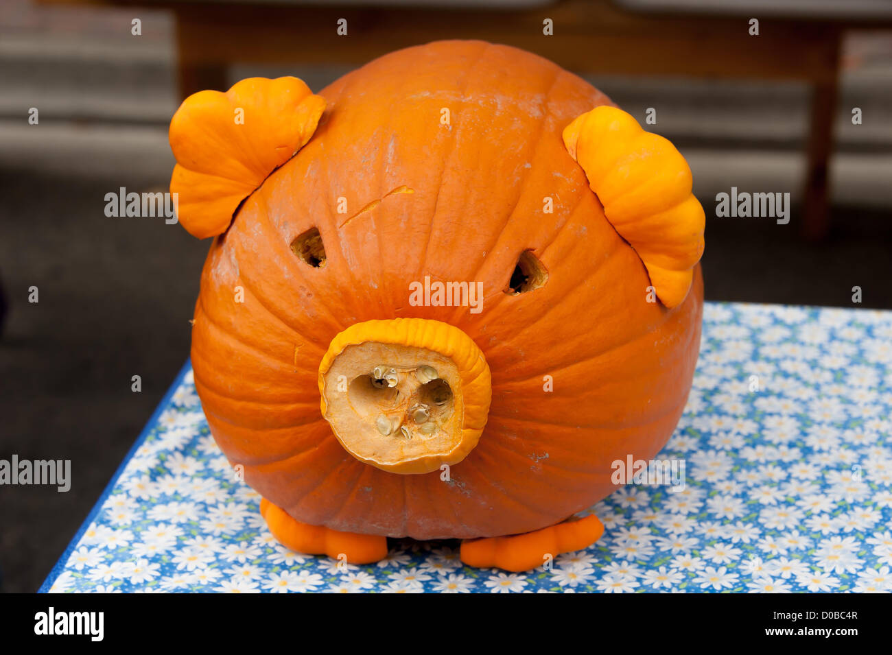 Teile der used-look in das Schnitzen von einem Kürbis Kürbis wie ein Schwein in Boise, Idaho. Stockfoto