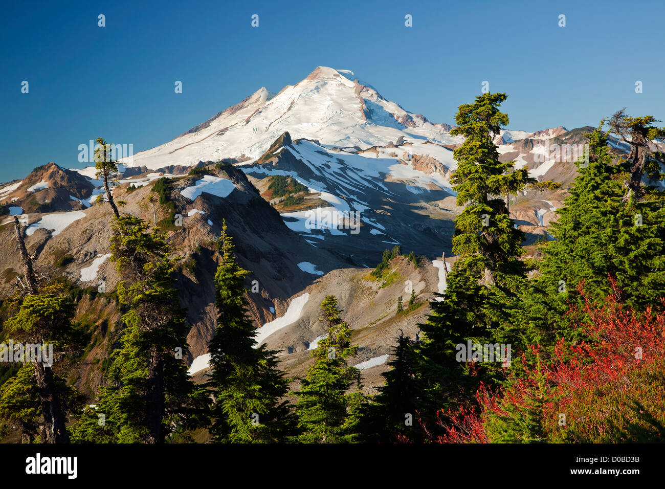 WA07826-00... WASHINGTON - Mount Baker von der Table Mountain Trail im Mount Baker Wildnisgebiet der Nord-Kaskaden. Stockfoto