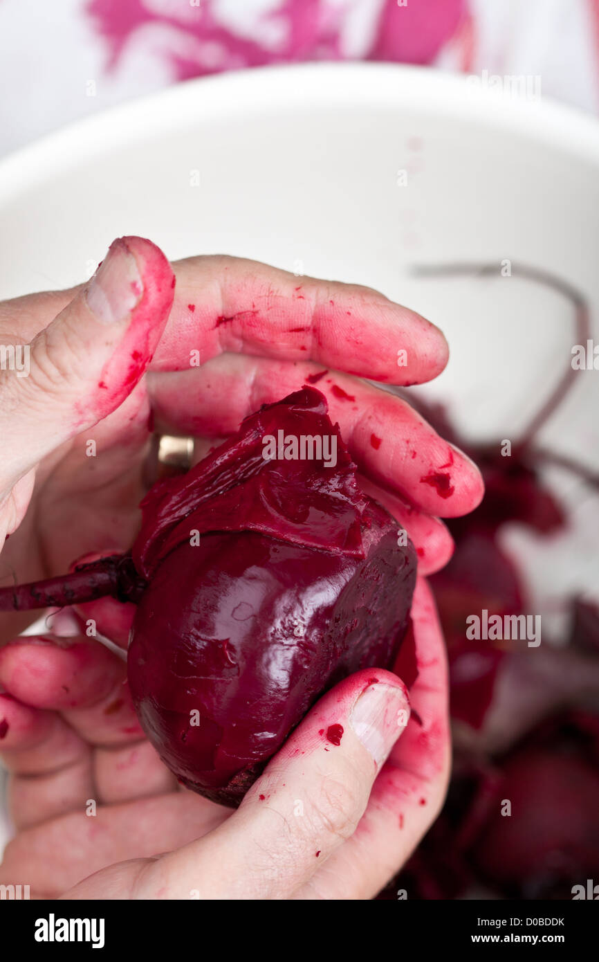 Mannes Hände halten frische geschälte Rüben Stockfoto