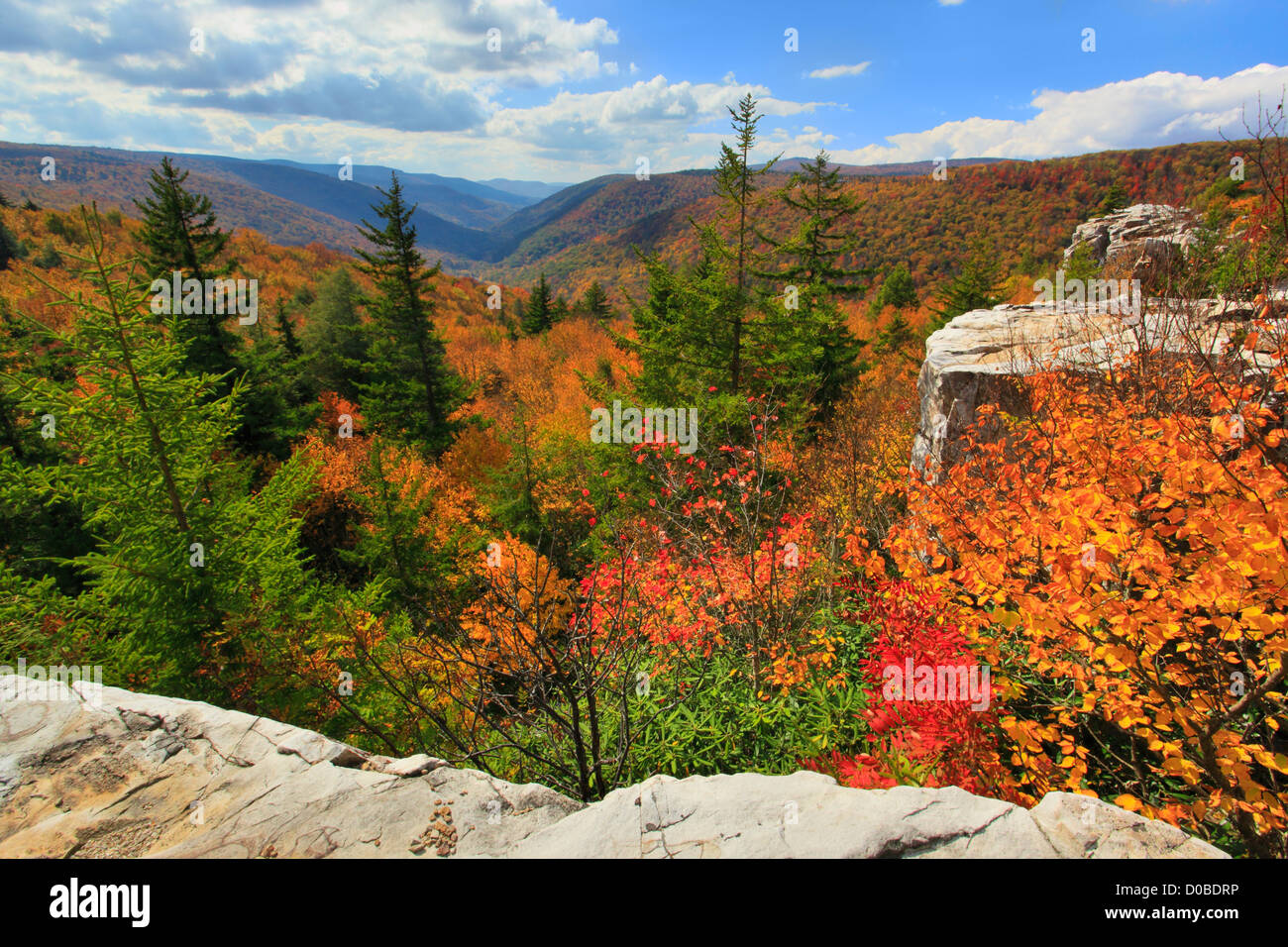 Blick auf Red Creek Canyon aus Rohrbaugh Trail, Dolly Grassoden Wildnis, Hopeville, West Virginia, USA Stockfoto