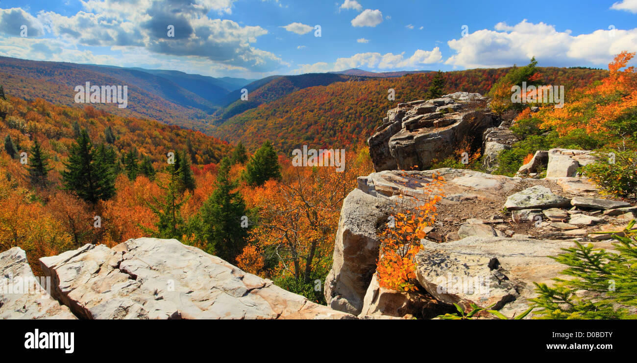 Blick auf Red Creek Canyon aus Rohrbaugh Trail, Dolly Grassoden Wildnis, Hopeville, West Virginia, USA Stockfoto
