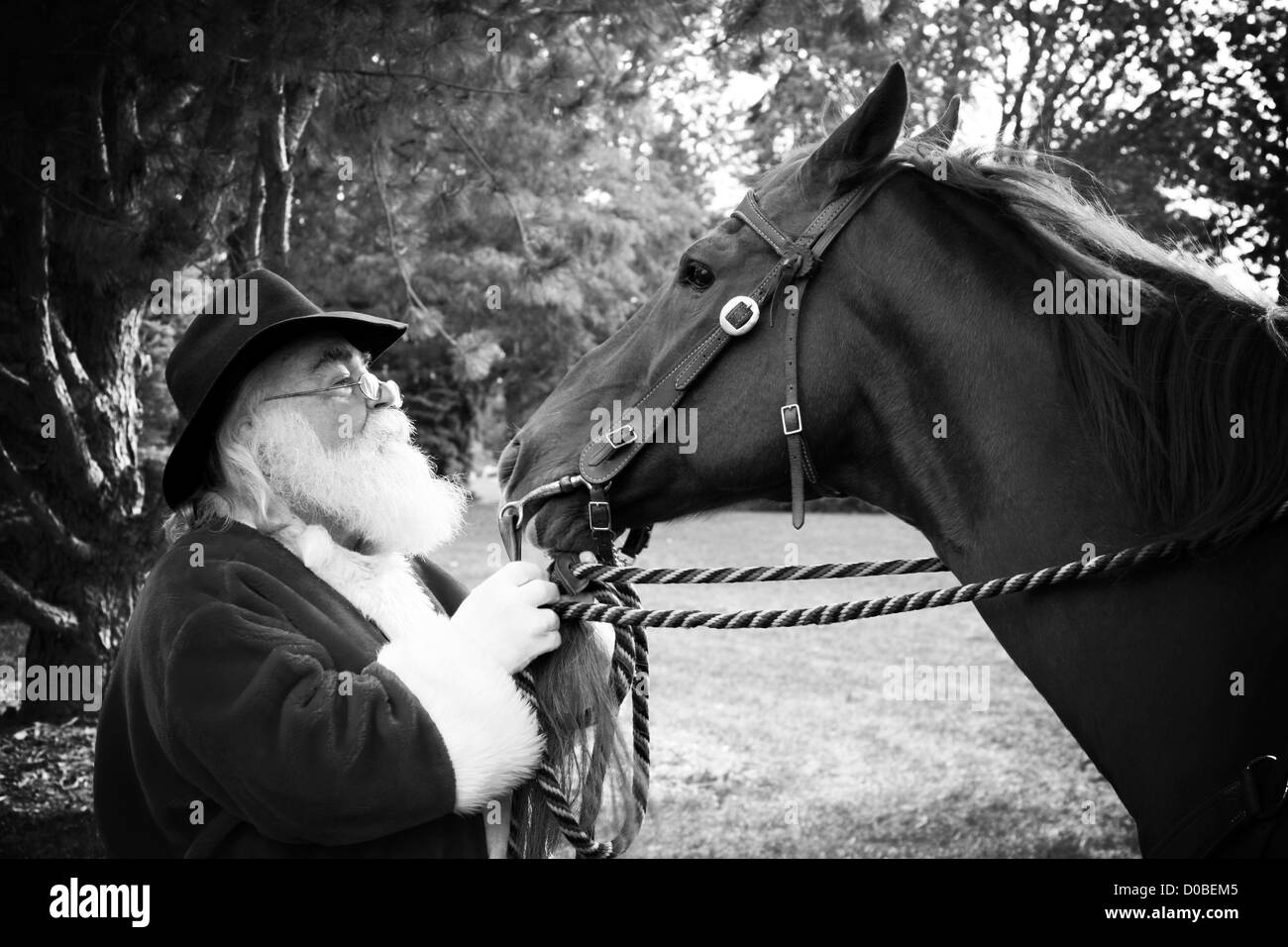 Western Santa Claus und seine Quarter horse Stockfoto
