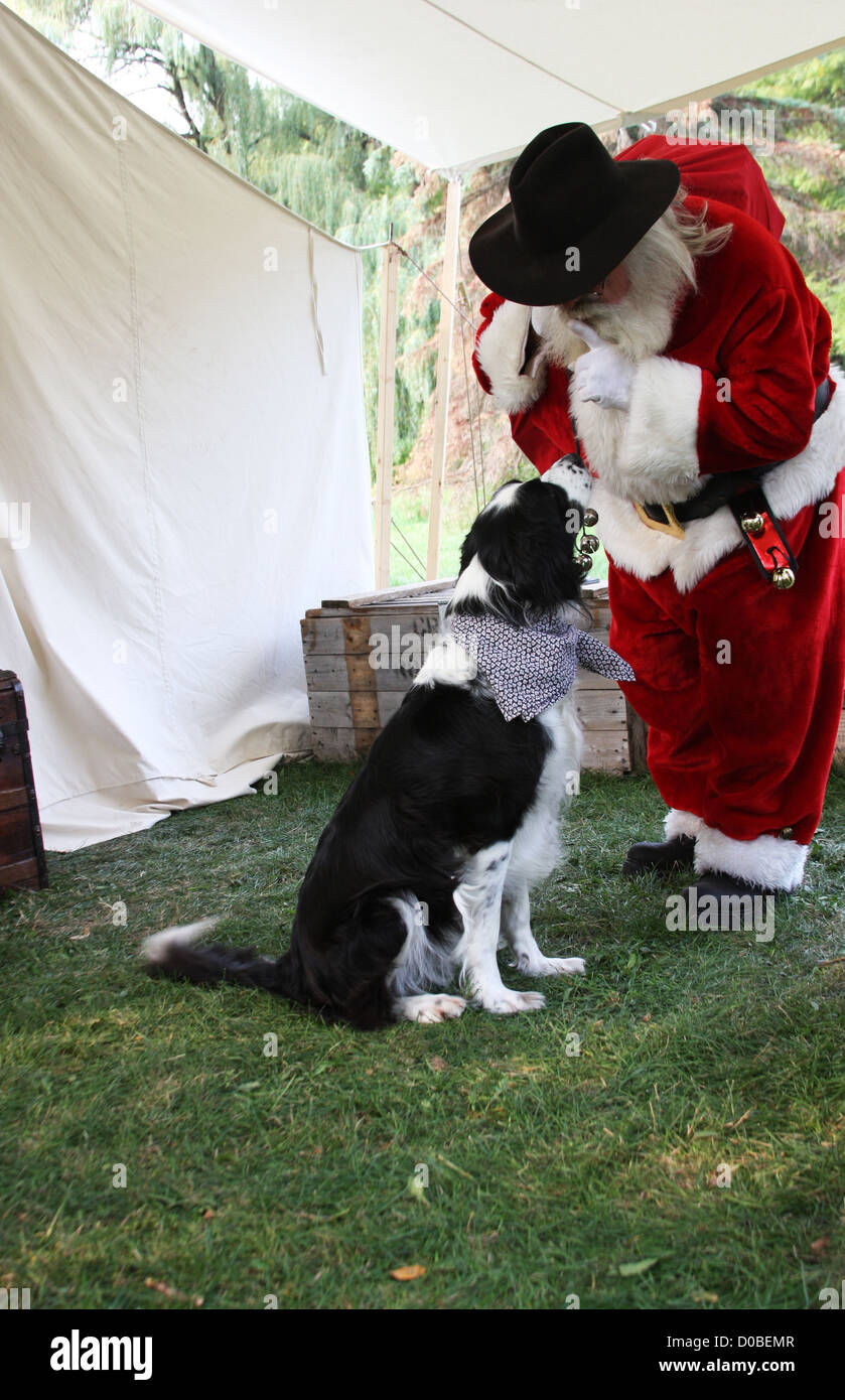 Santa Claus kommt in einem westlichen Zelt mit Weihnachtsgeschenken ein Wachhund zu beruhigen Stockfoto