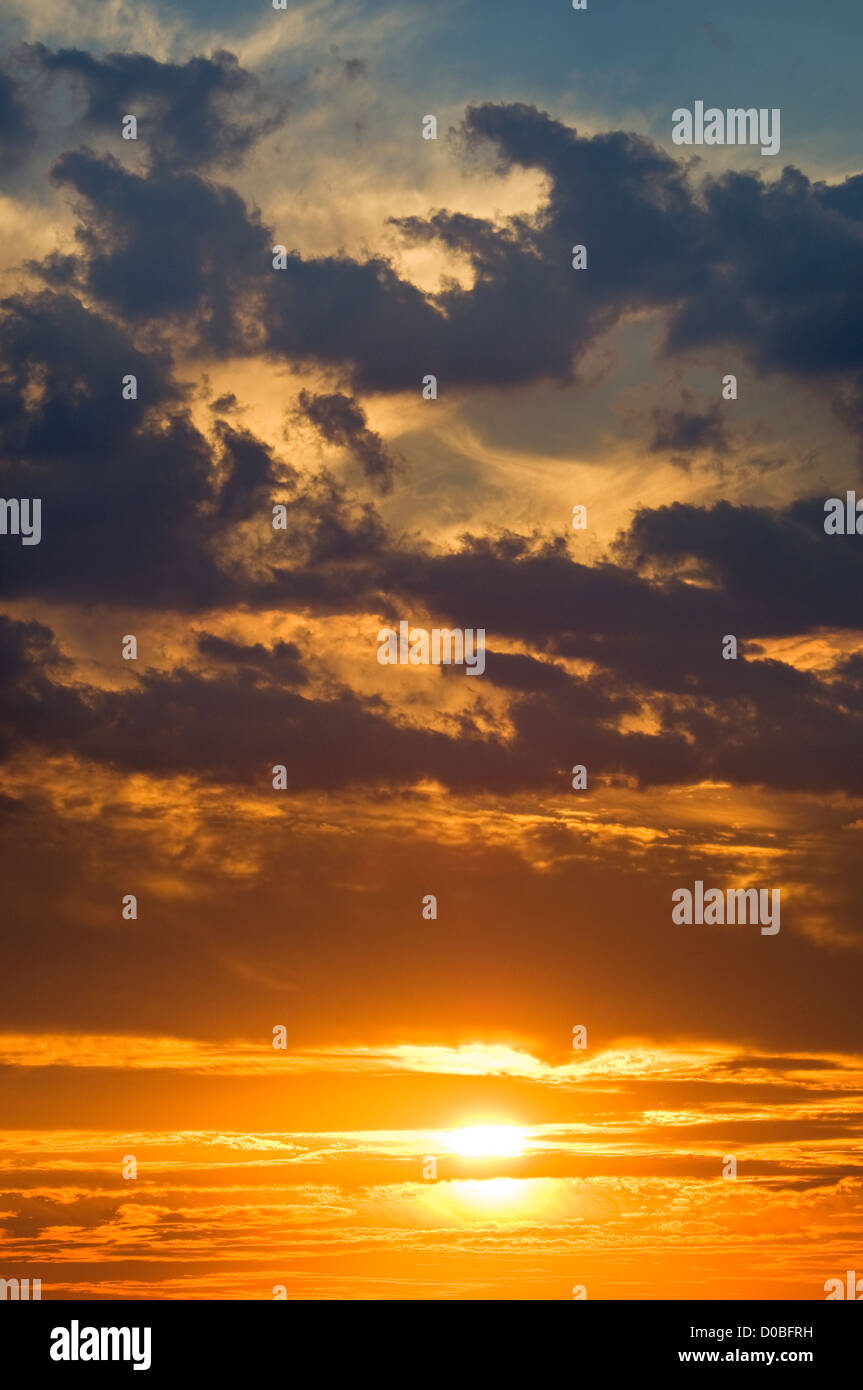 Abendfeuer Stockfoto