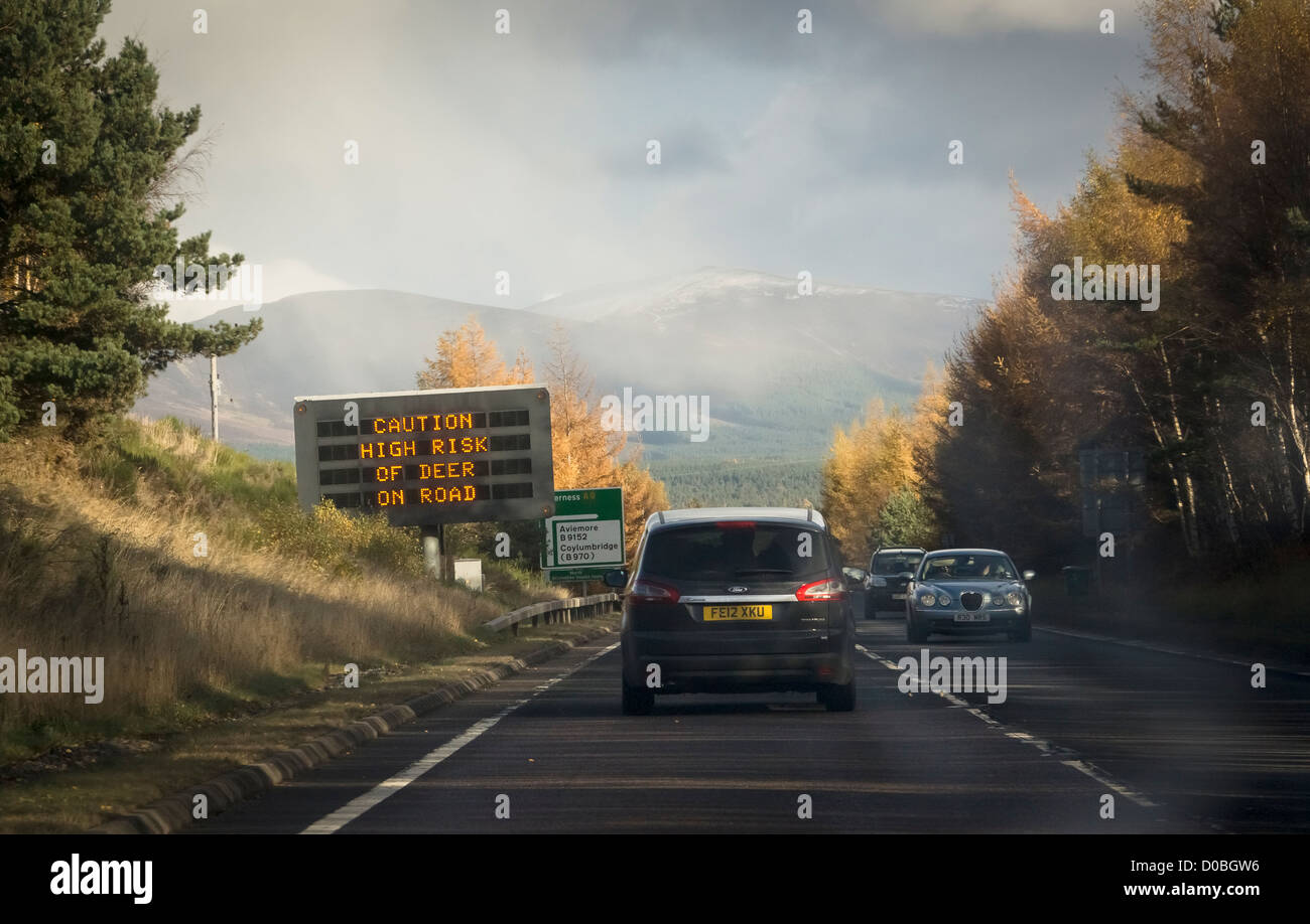 Elektronische Unterschrift Warnung der Hirsche auf der A9-Straße in der Nähe von Aviemore in Schottland. Stockfoto